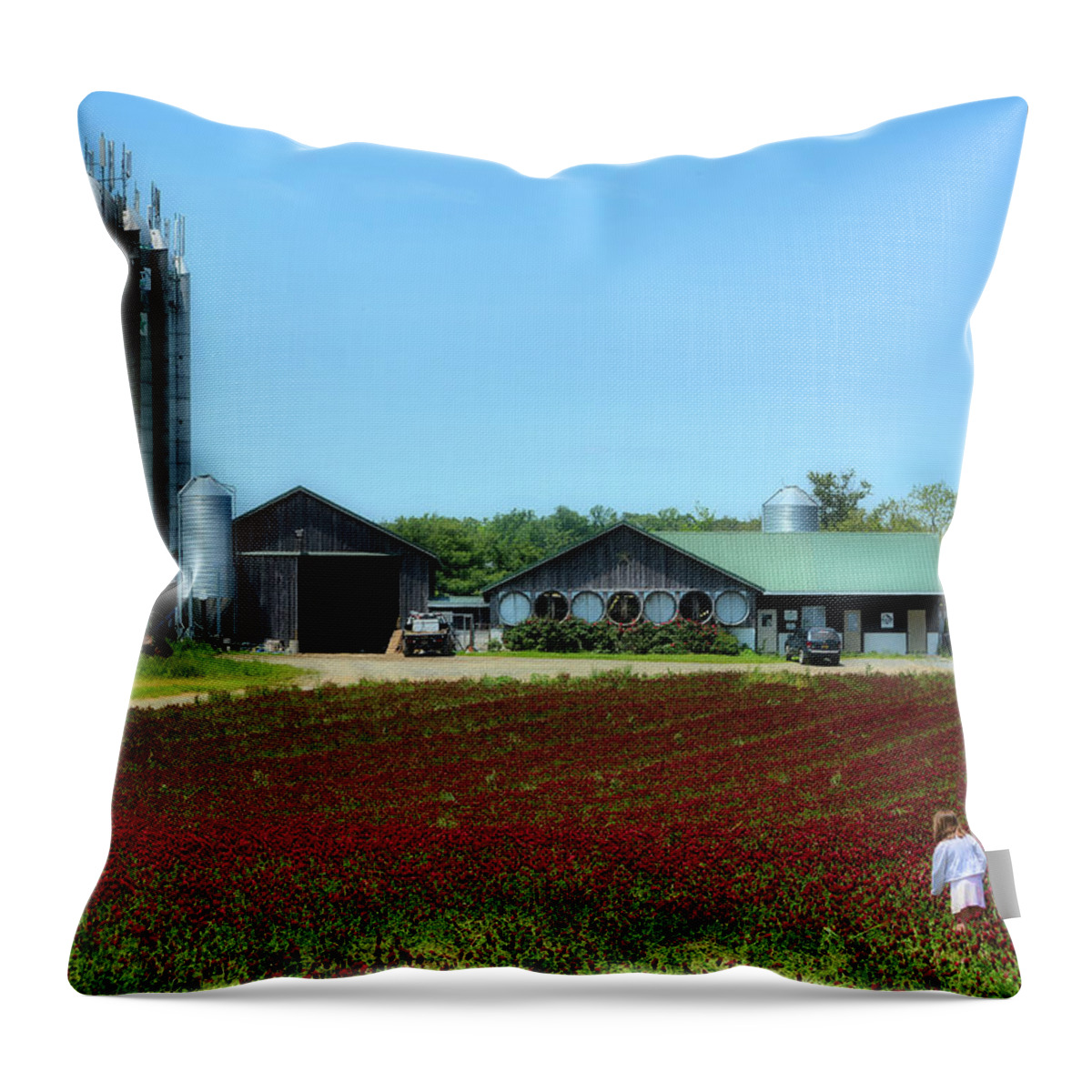 Crimson Clover Throw Pillow featuring the photograph HARCO Springin by Robert McCubbin