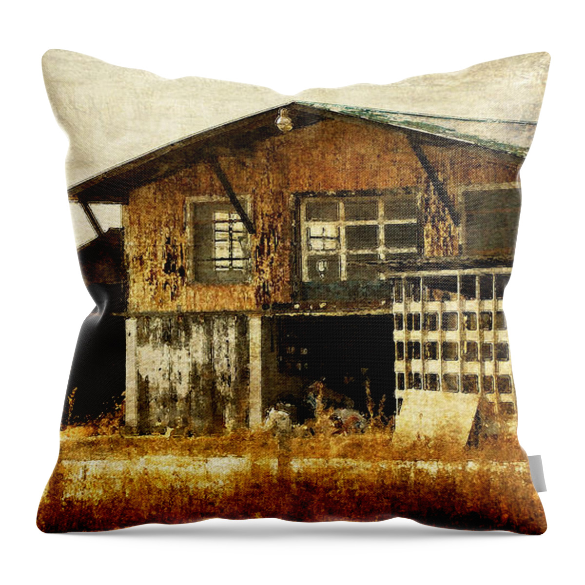 Farm Throw Pillow featuring the photograph Hard Labor by Lois Bryan