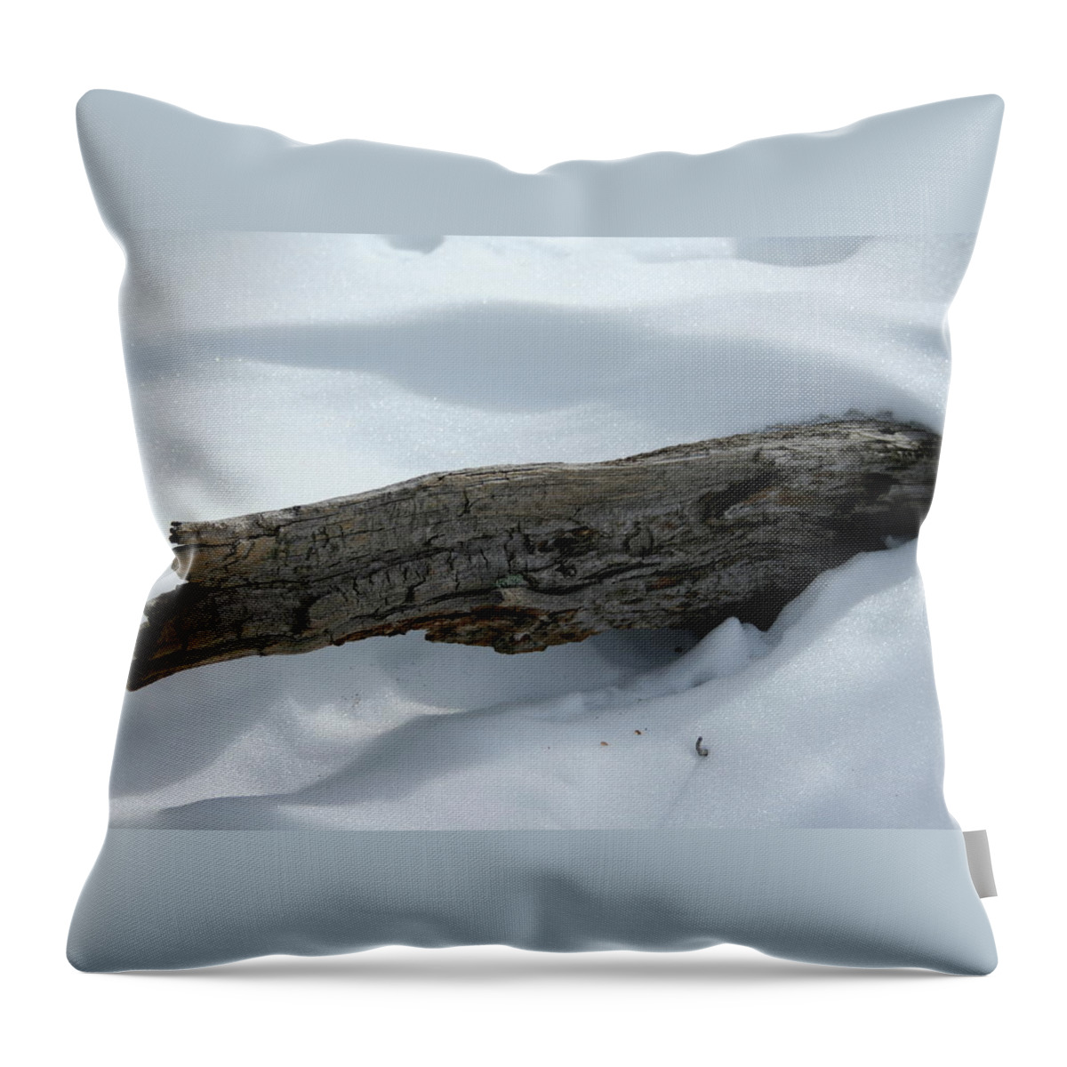 Snow Throw Pillow featuring the photograph Hard Times by Ric Bascobert