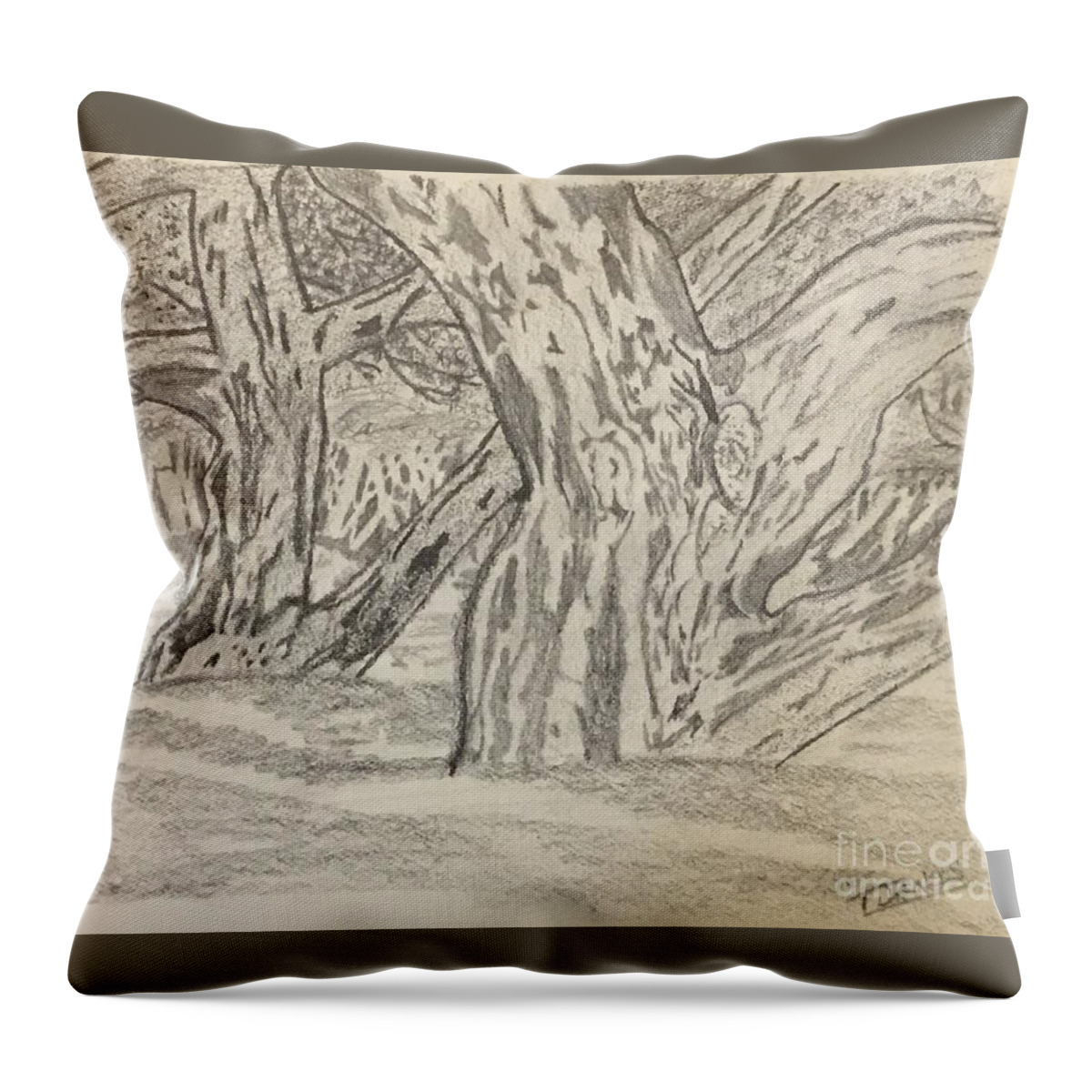 Landscape Throw Pillow featuring the drawing Hardwoods by Thomas Janos