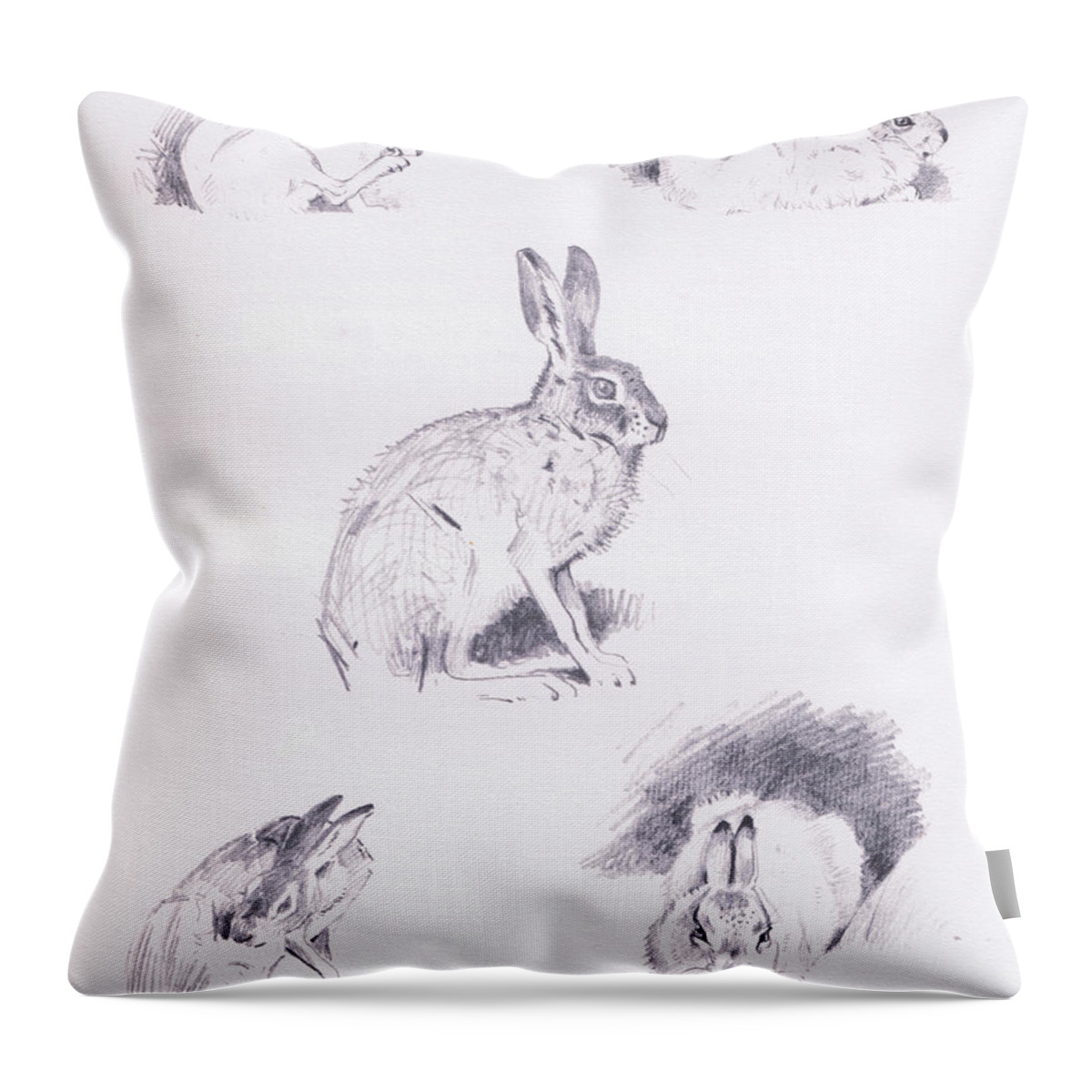 Hare Throw Pillow featuring the drawing Hare studies by Archibald Thorburn