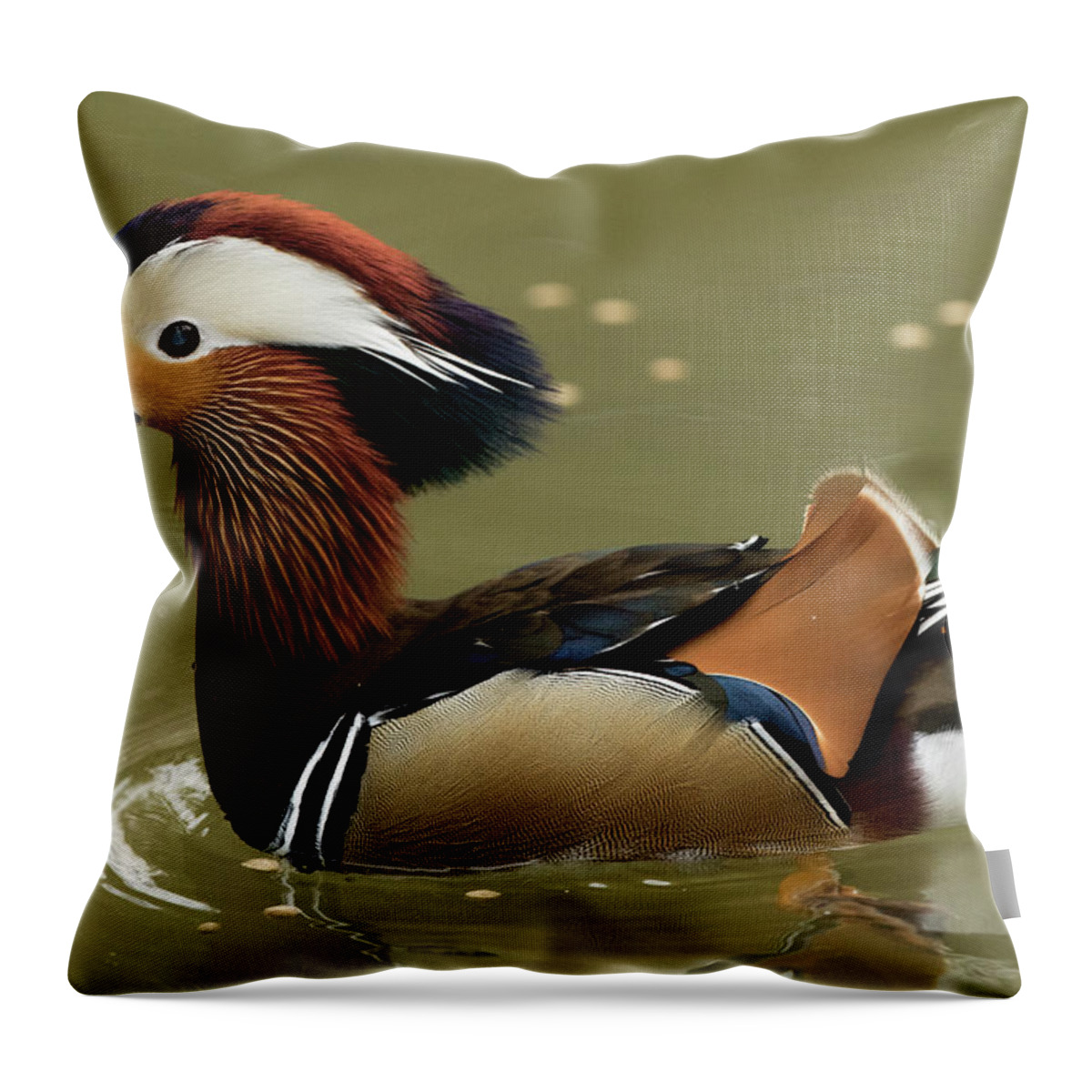 Harlequin Throw Pillow featuring the photograph Harlequin Duck in South Carolina by Steven Upton