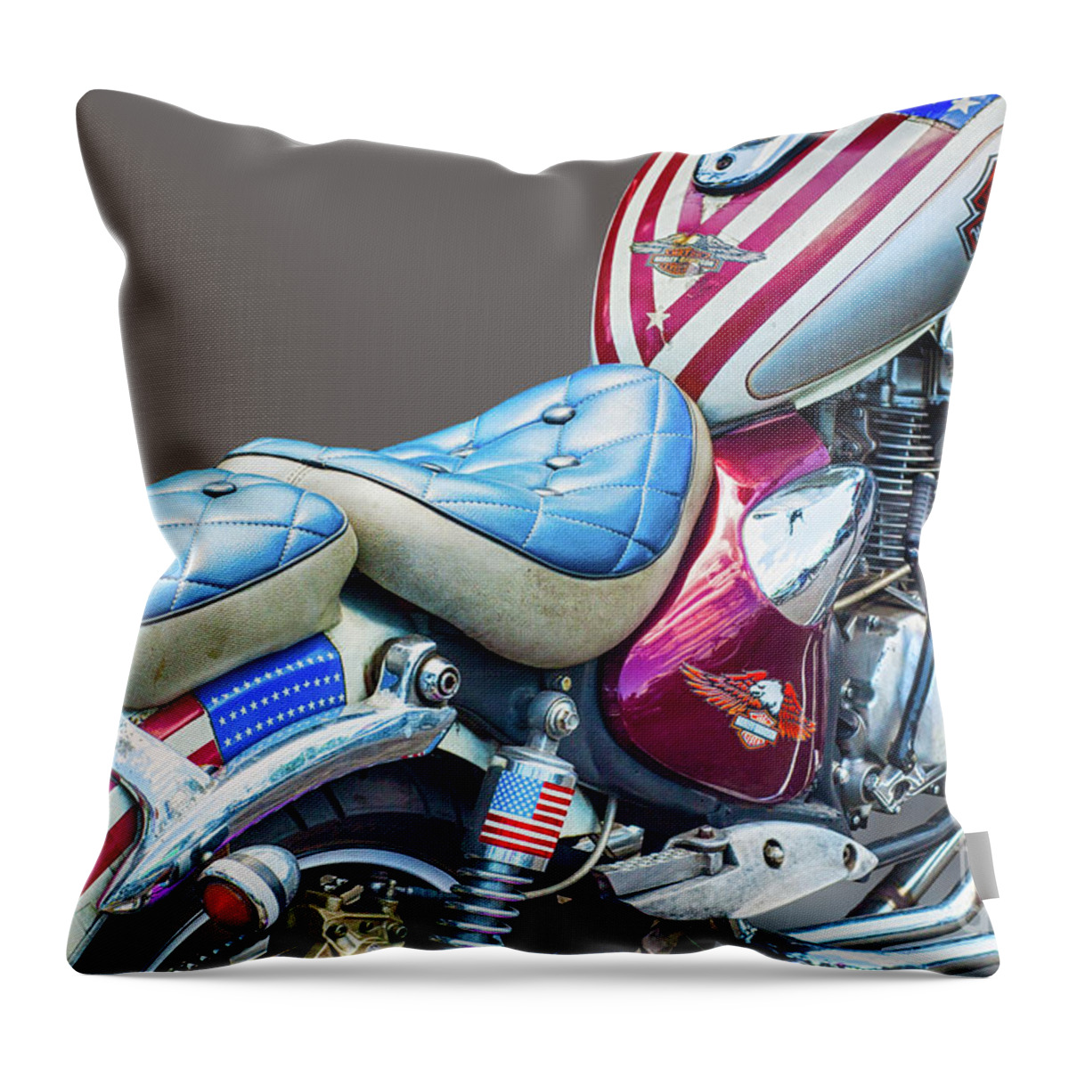 Harley Davidson Throw Pillow featuring the photograph Harley by Charuhas Images