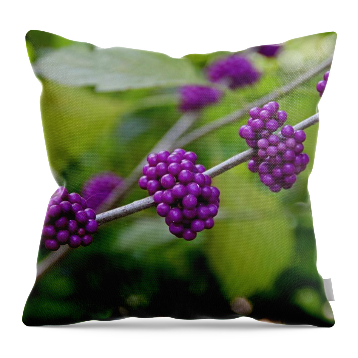 Purple Berry Throw Pillow featuring the photograph Harmonizing Passion by Michiale Schneider