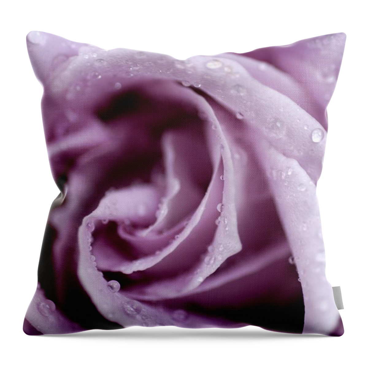 Rose Throw Pillow featuring the photograph Harmony by DArcy Evans