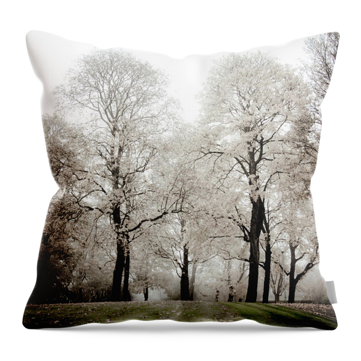 Trees Throw Pillow featuring the photograph Harmony by Maggie Terlecki