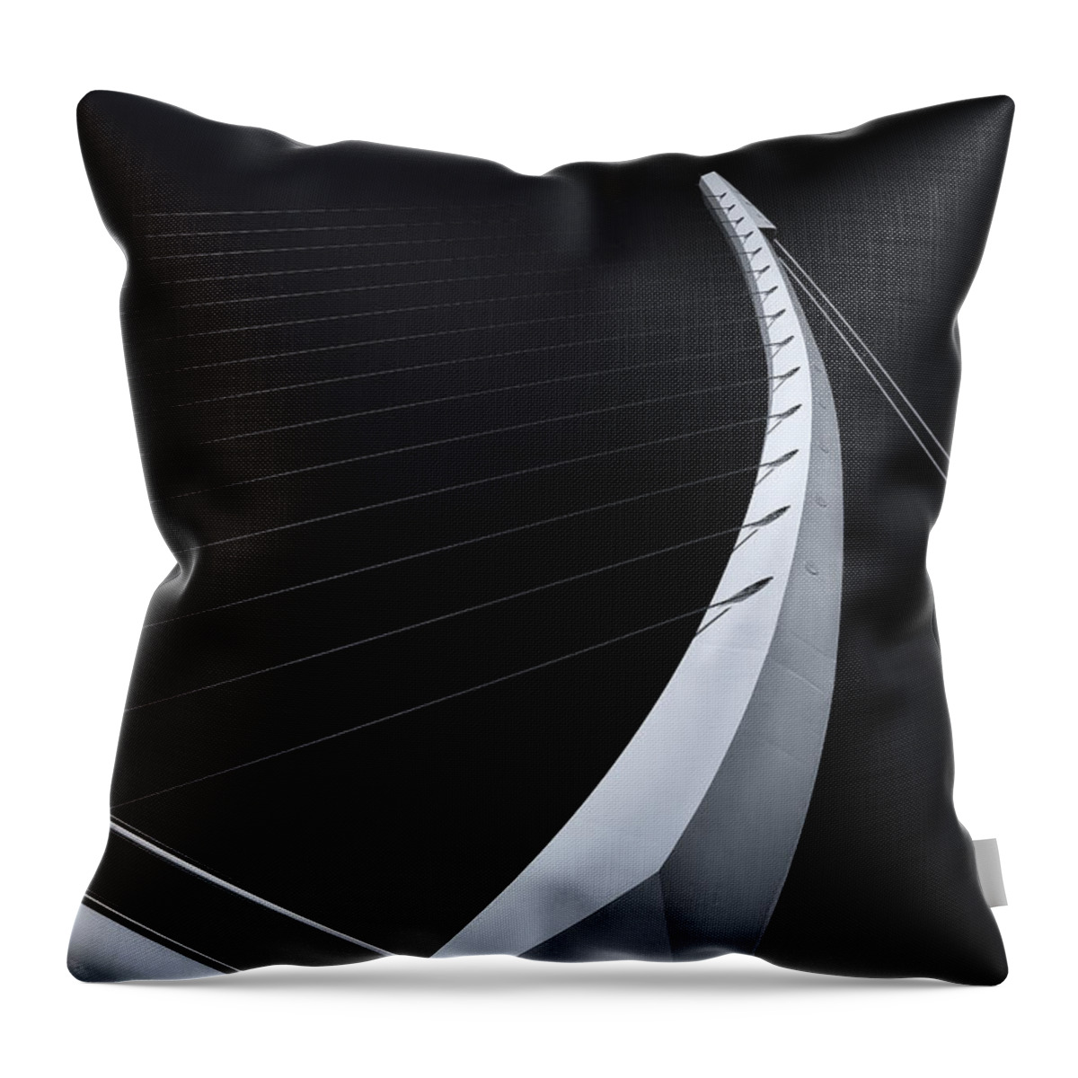 Bridge Throw Pillow featuring the photograph Harp strings by Dominique Dubied