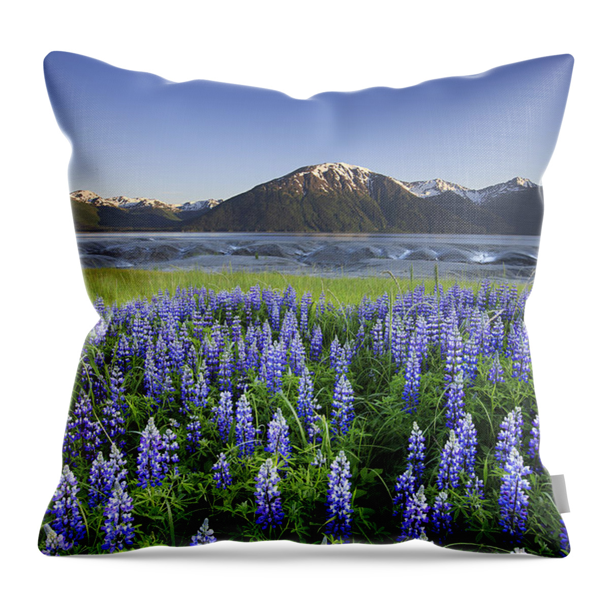 Alaska Throw Pillow featuring the photograph Harper by Ed Boudreau
