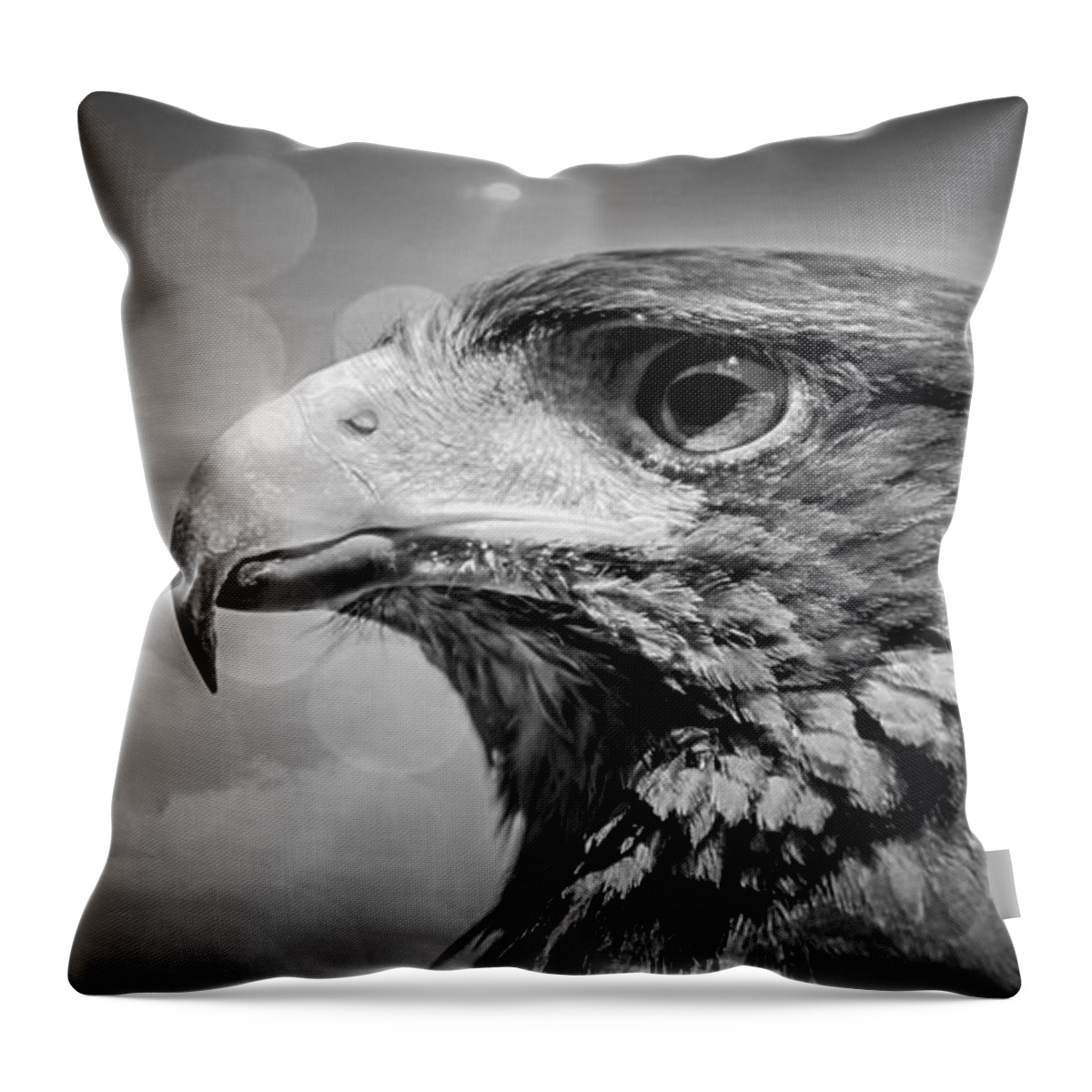 Harris Hawk Throw Pillow featuring the photograph Harris Hawk Black And White by Jean Francois Gil