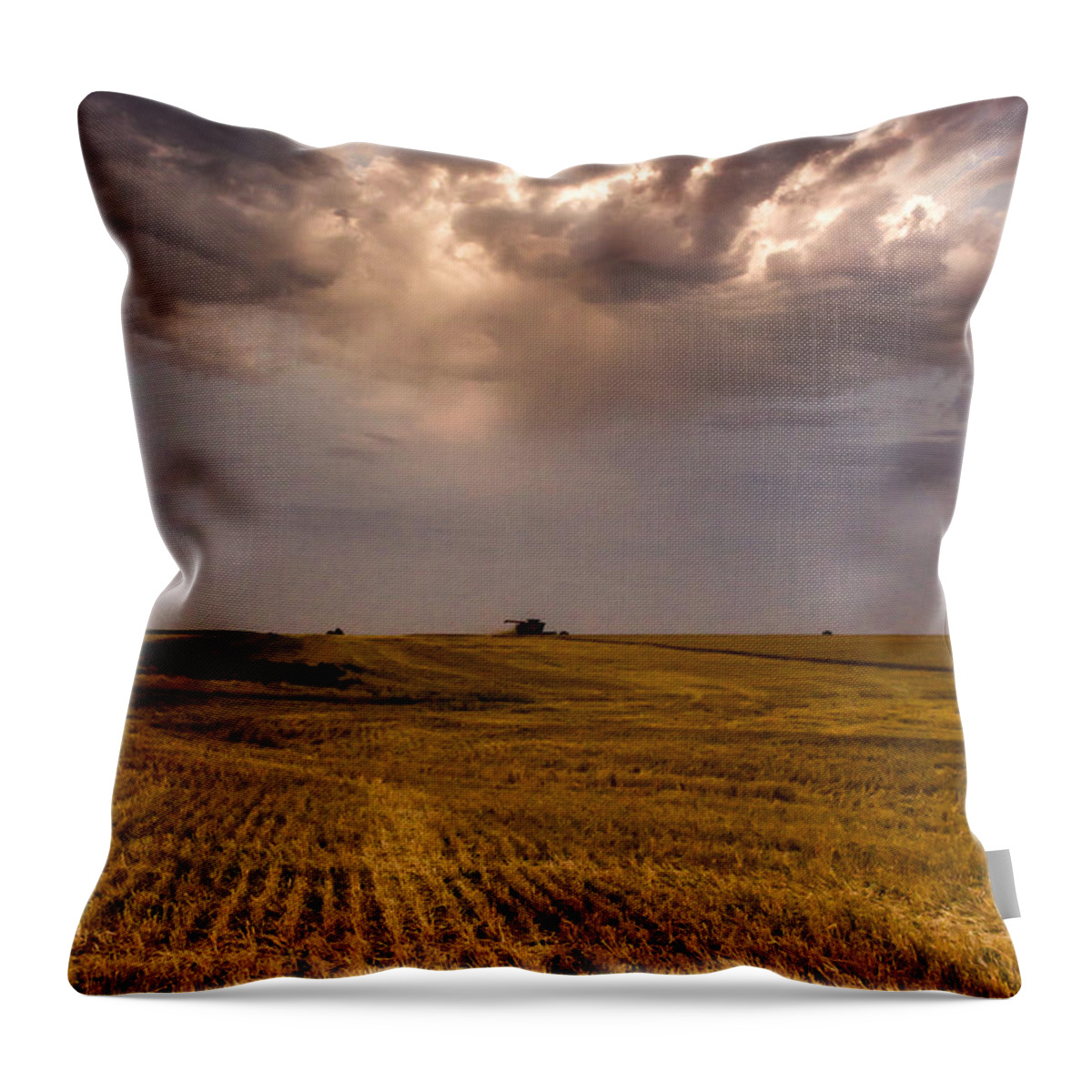 Jay Stockhaus Throw Pillow featuring the photograph Harvest by Jay Stockhaus