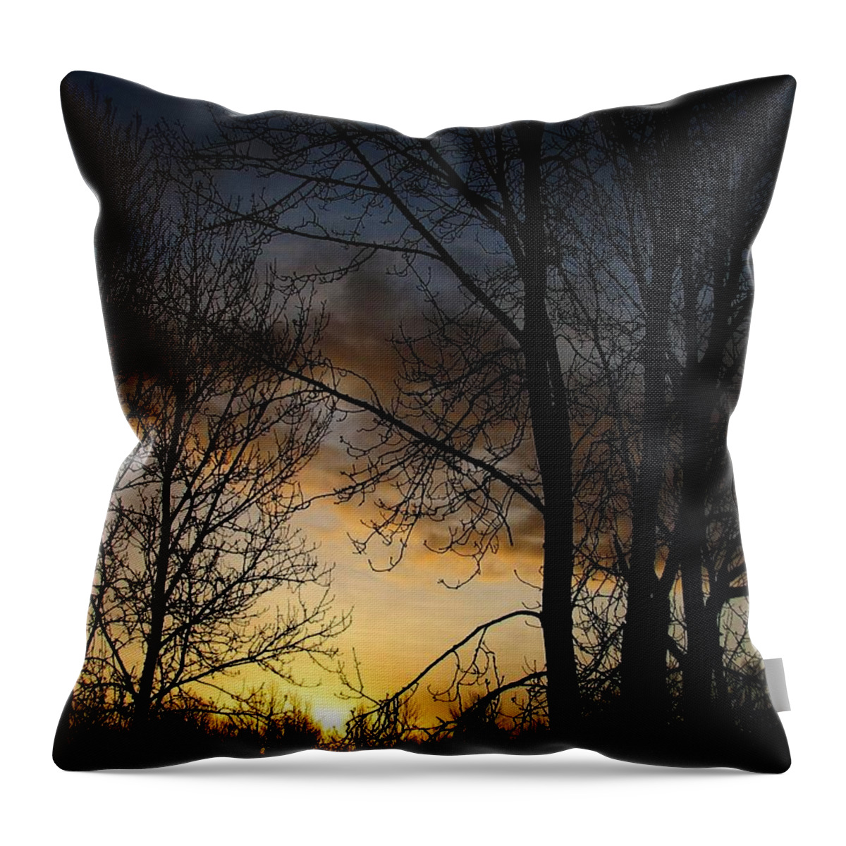 Sunrise Throw Pillow featuring the photograph Haunt by Chris Dunn