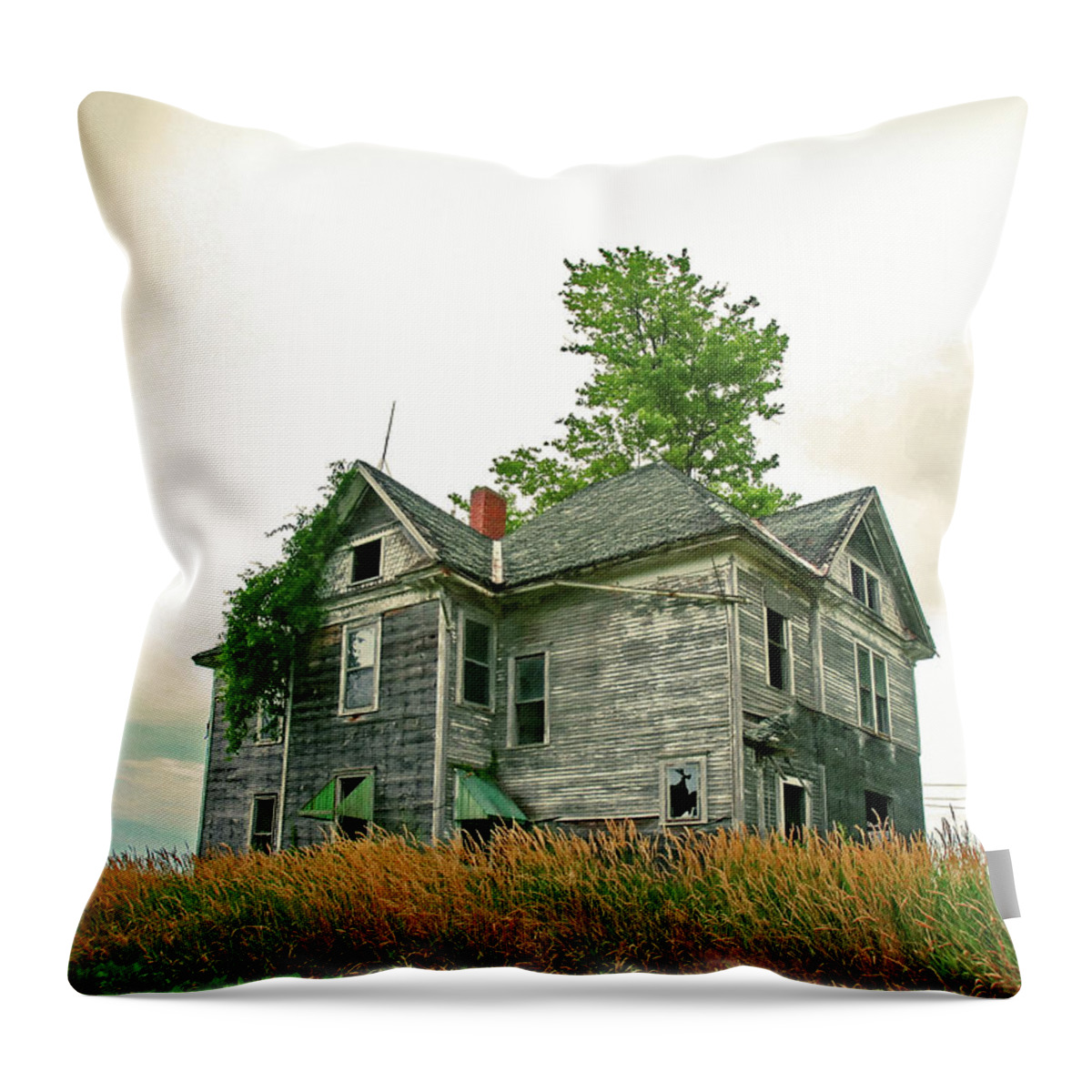 Haunted House Throw Pillow featuring the photograph Haunted House by Todd Klassy
