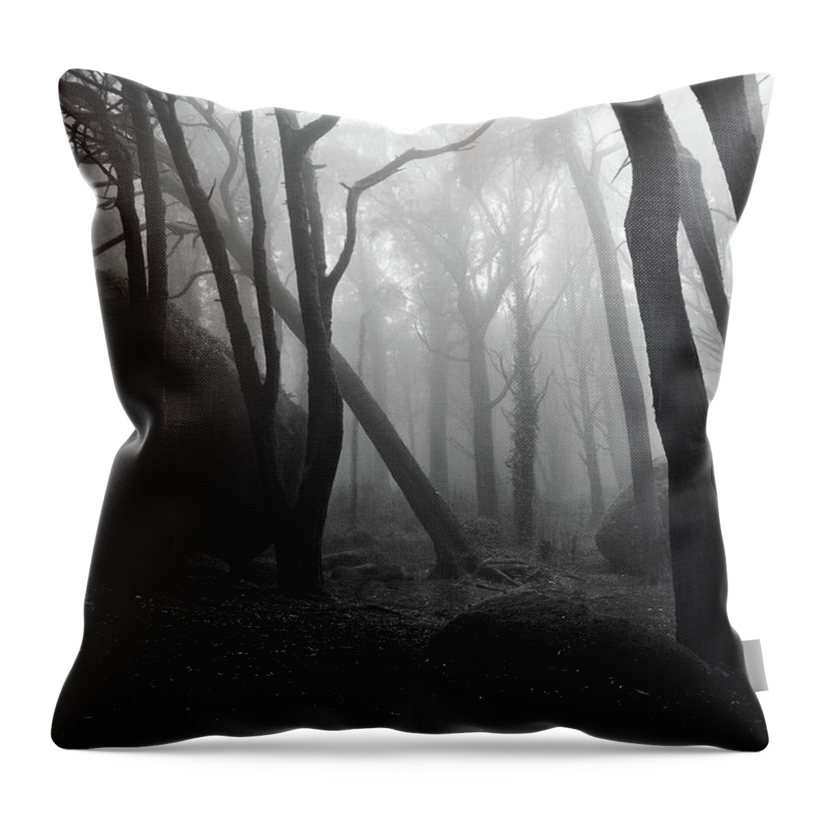 Jorgemaiaphotographer Throw Pillow featuring the photograph Haunted woods by Jorge Maia