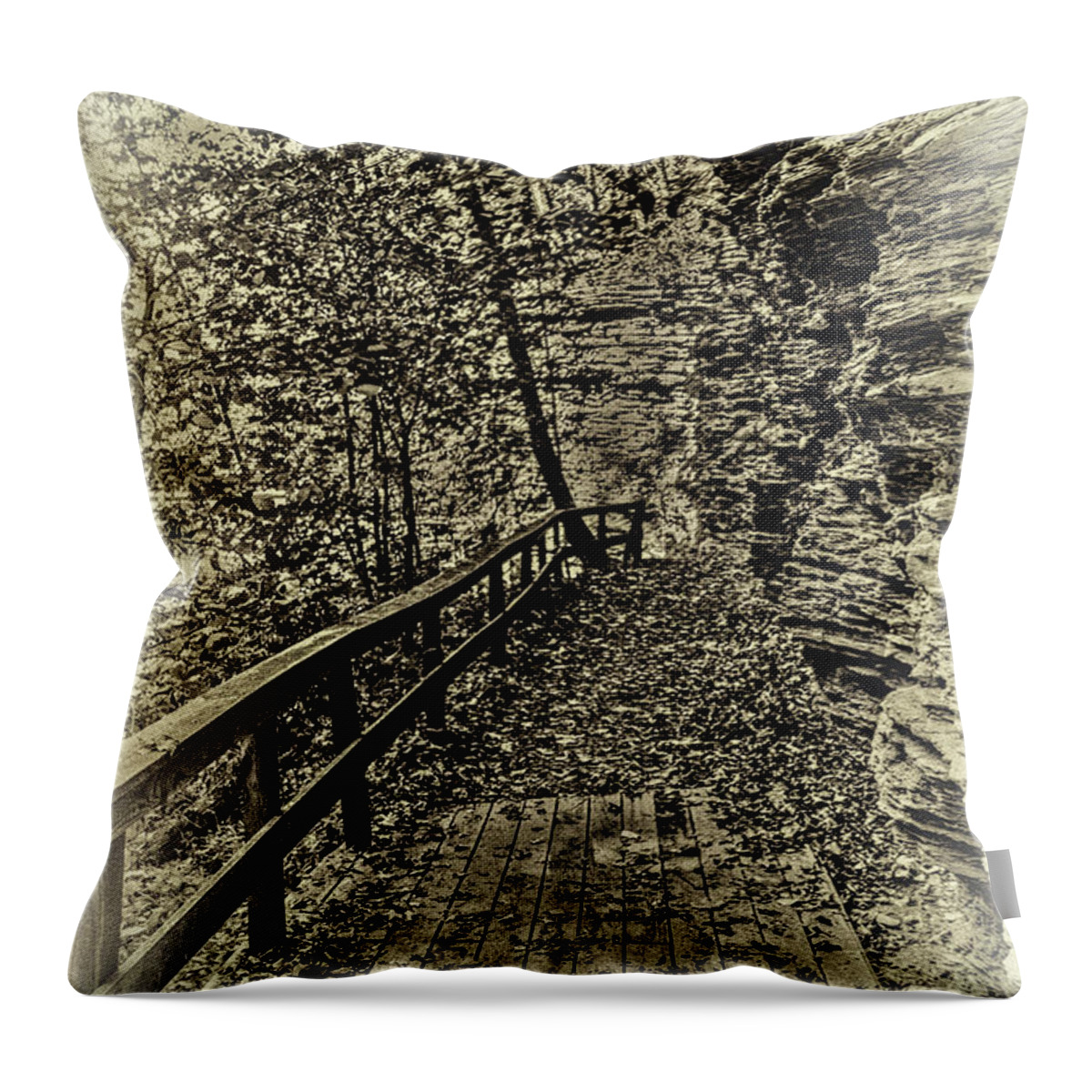 Havana Glen Throw Pillow featuring the photograph Havana Pathway in Sepia by William Norton