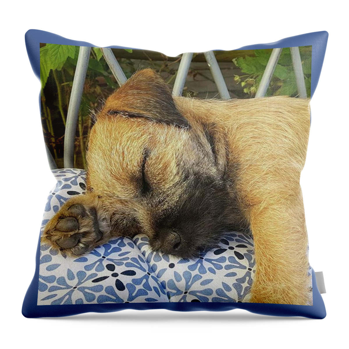 Dog Throw Pillow featuring the photograph Puppy Nap by Rowena Tutty