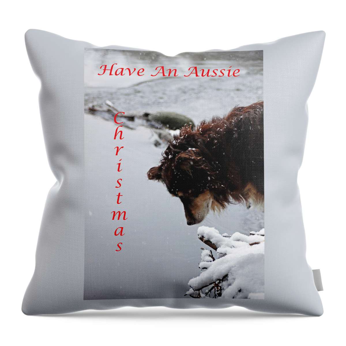 Dog Christmas Cards Throw Pillow featuring the photograph Have An Aussie Christmas by Debbie Oppermann