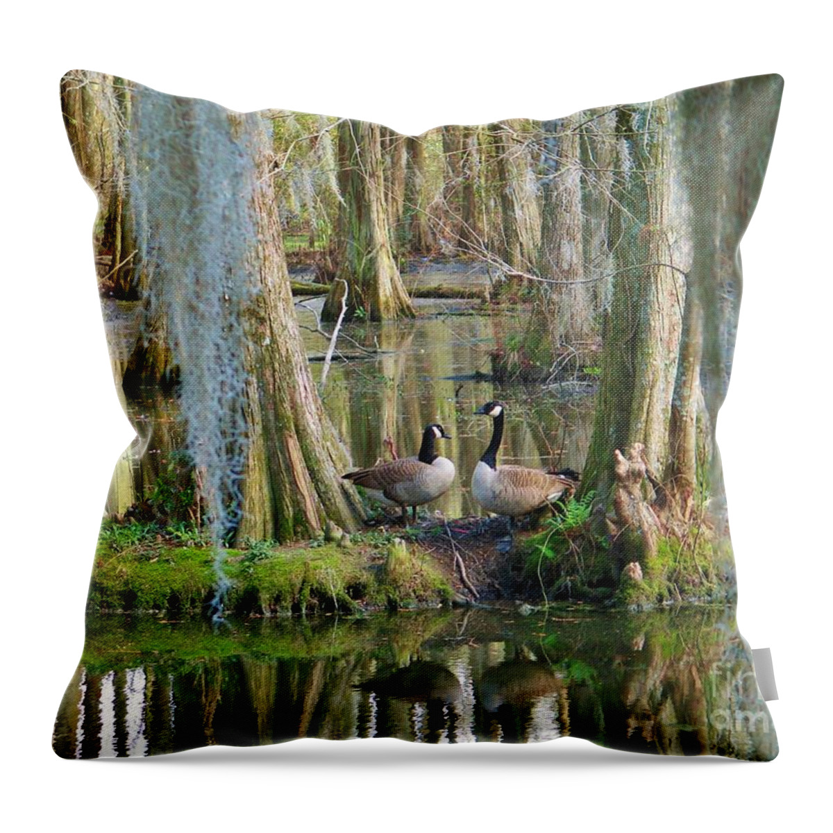 Nature Throw Pillow featuring the photograph Haven by Sheila Ping