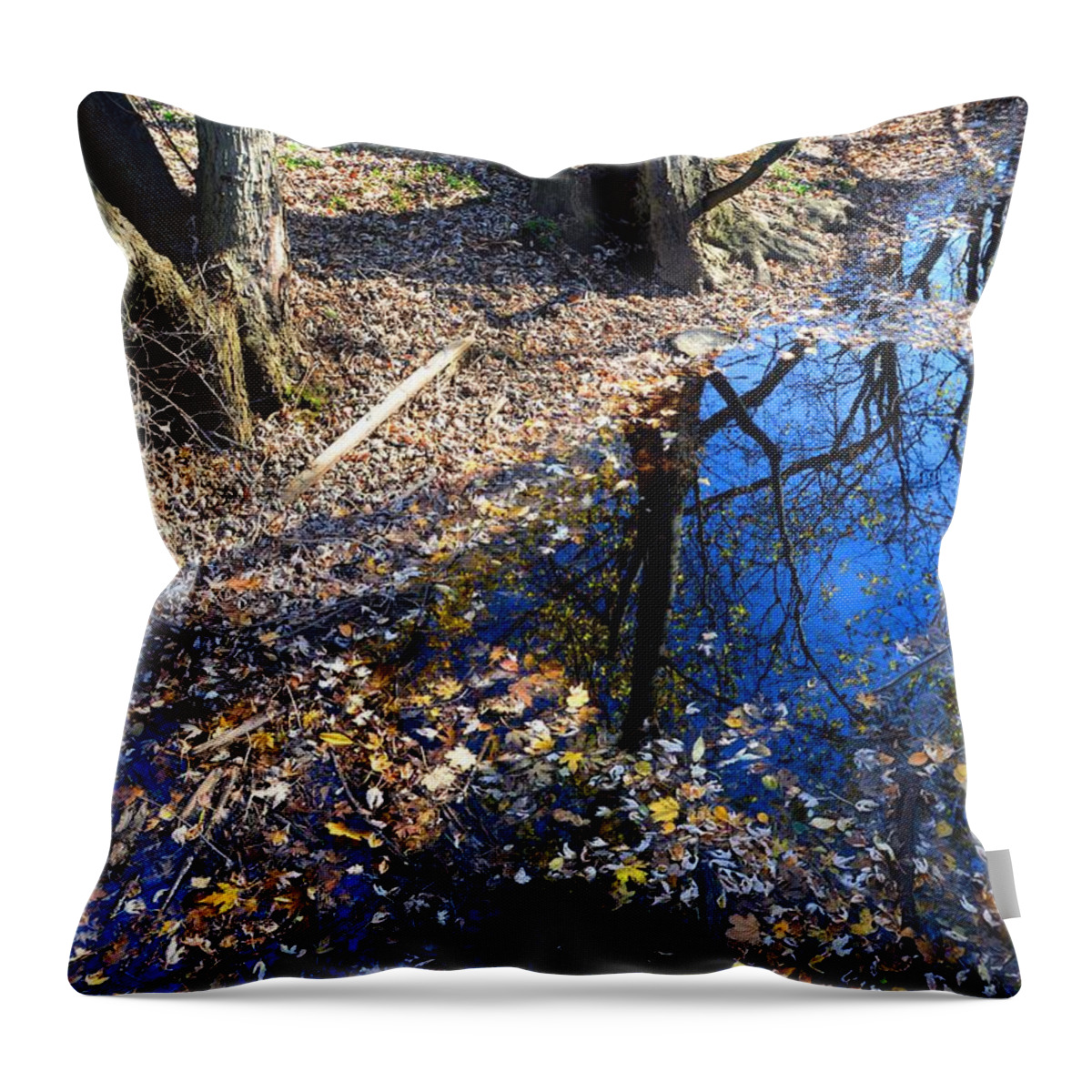 Reflections Throw Pillow featuring the photograph Havre de Grace, MD - Reflections by Cindy Manero
