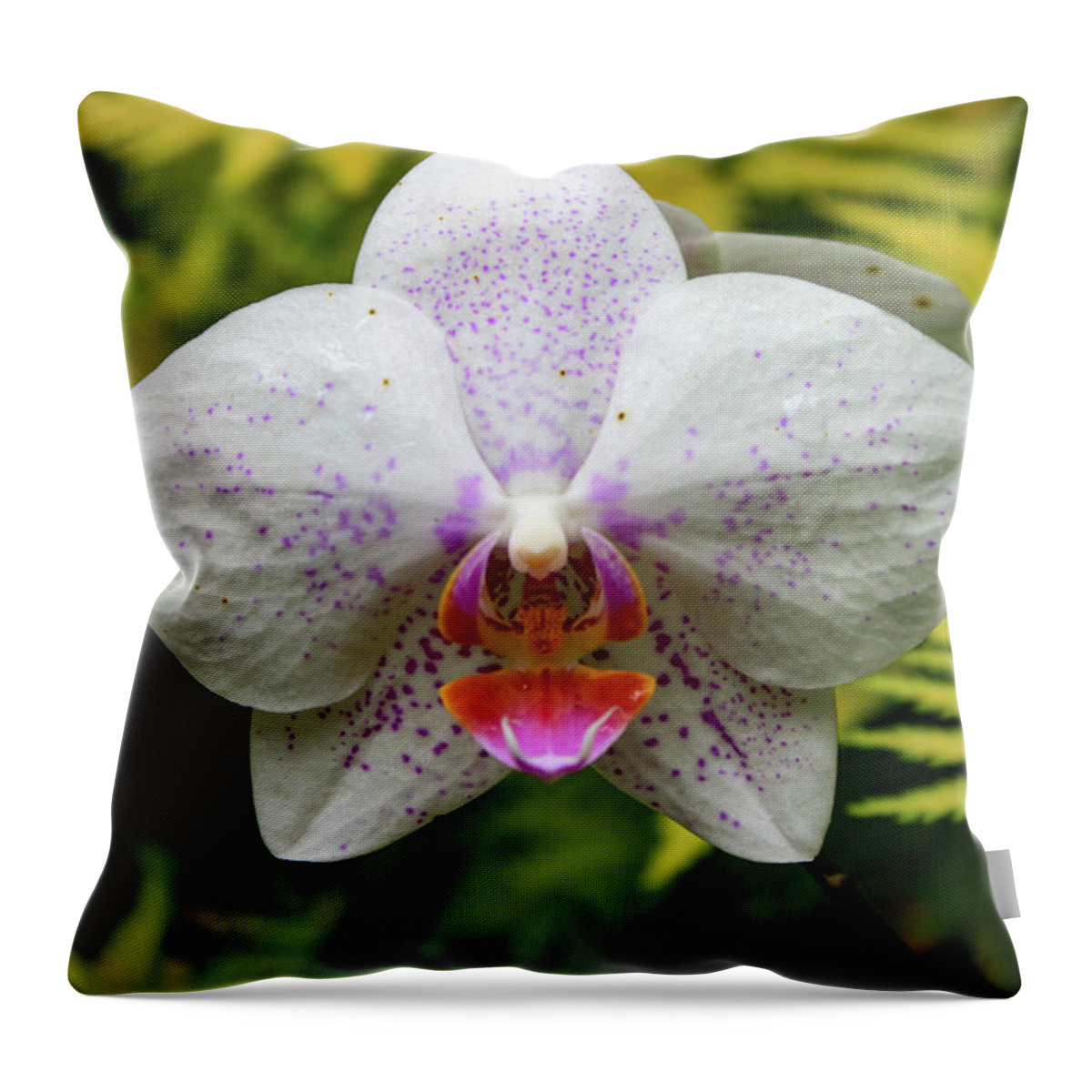 Orchid Throw Pillow featuring the photograph Hawaii Orchid 1 by Matt Sexton