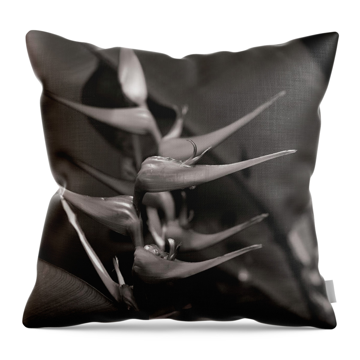 Heliconia Throw Pillow featuring the photograph Hawaiian Heliconia bihai BW by Jason Hughes