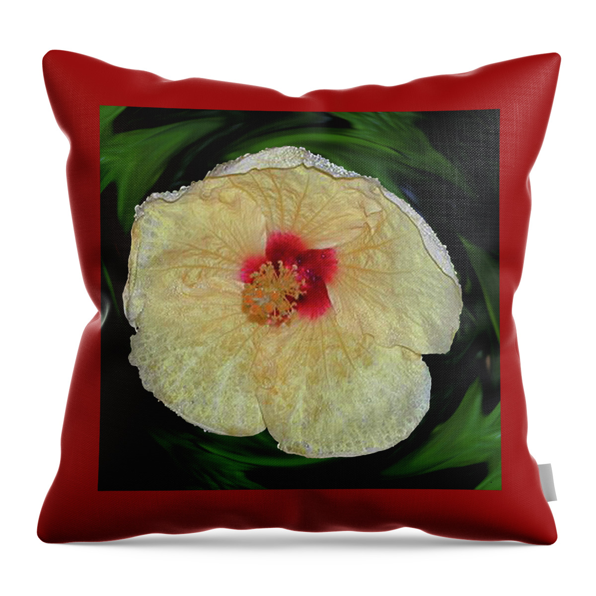 Hybiscus Throw Pillow featuring the photograph Hawaiian Hybiscus by Alison Stein