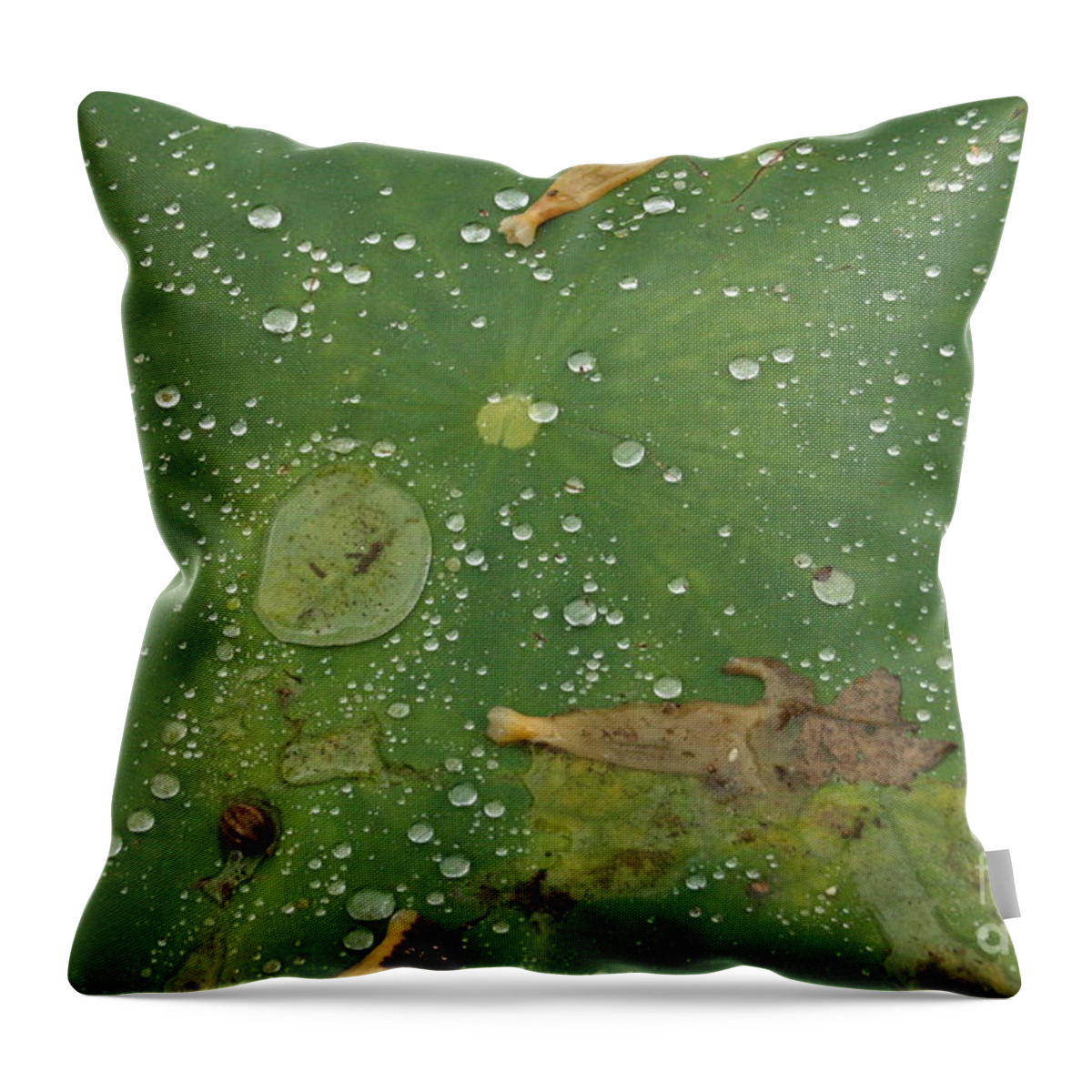 Hawaiian Lilly Pads Throw Pillow featuring the photograph Hawaiian Lilly Pad 2 by Jennifer Bright Burr