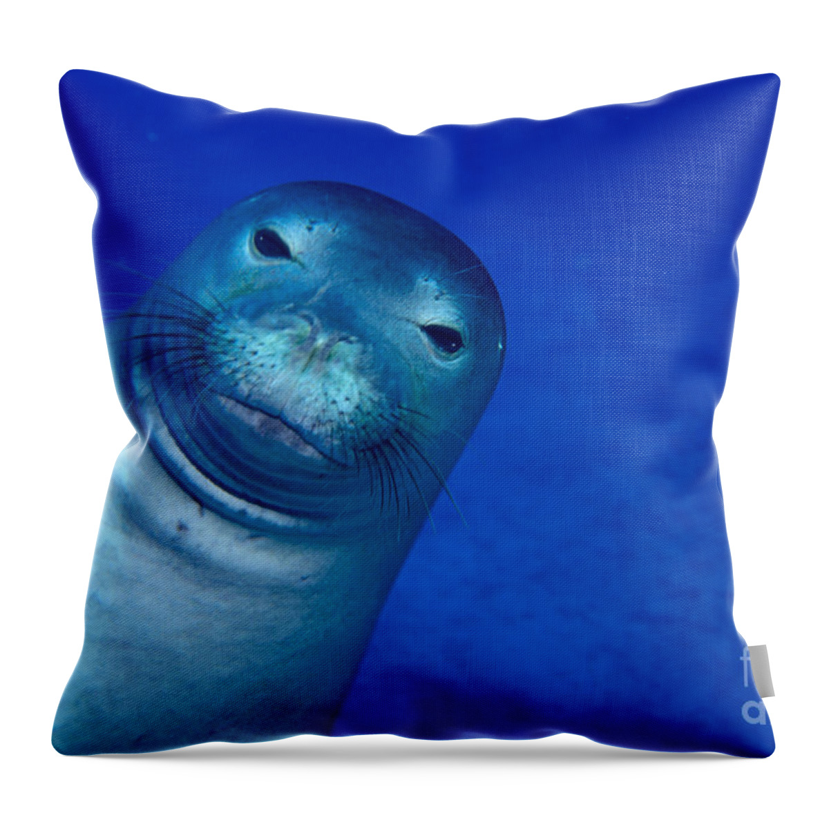 Animal Art Throw Pillow featuring the photograph Hawaiian Monk Seal by Ed Robinson - Printscapes