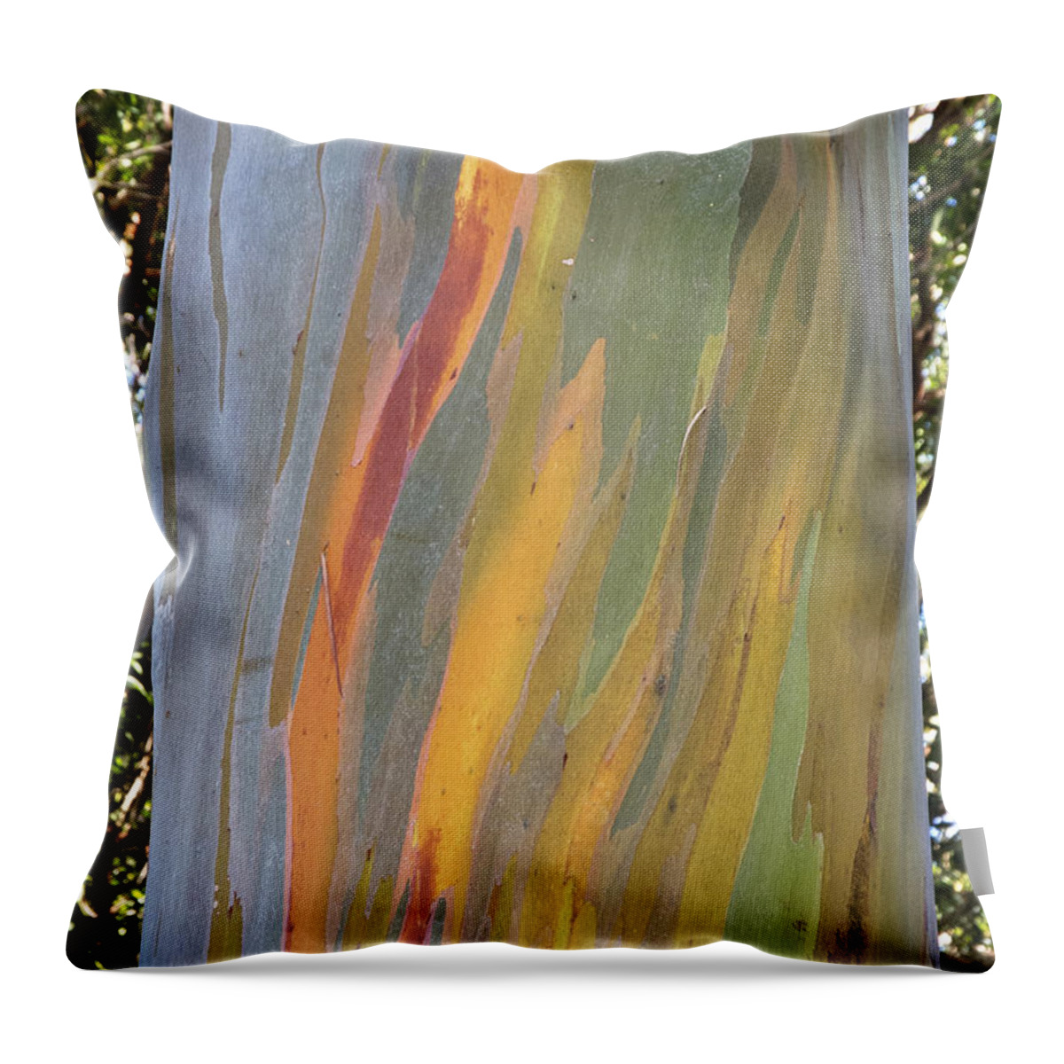 Outdoors Throw Pillow featuring the photograph Hawaiian Rainbow Tree by Doug Davidson