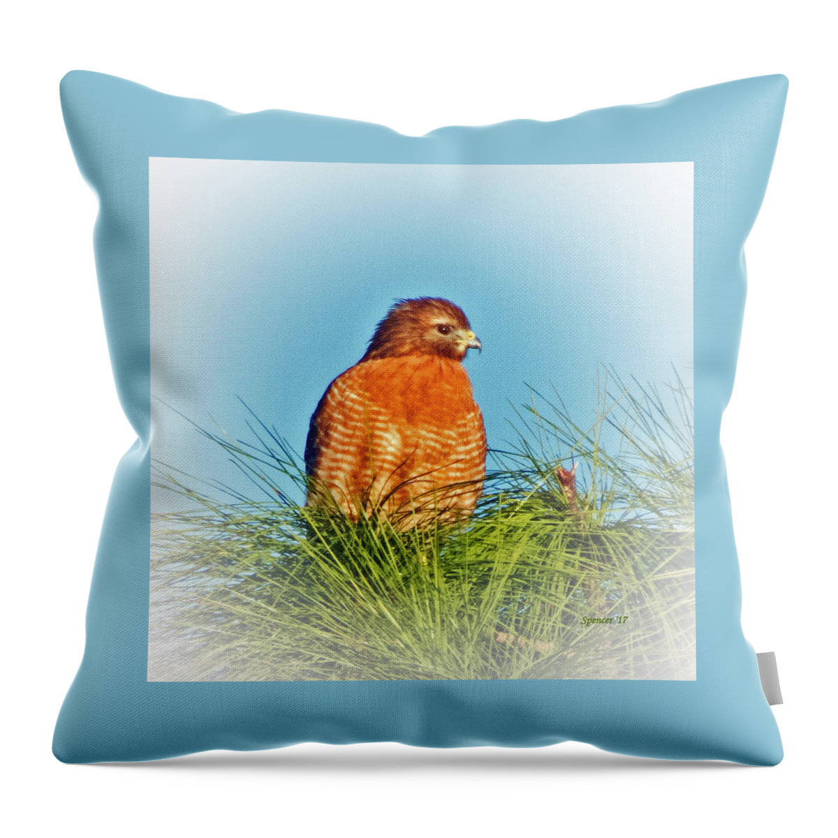 Wildlife Throw Pillow featuring the photograph Hawk High by T Guy Spencer