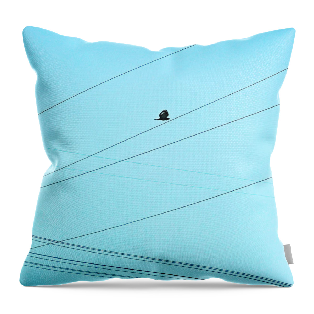 Hawk Throw Pillow featuring the photograph Hawk in the Obstacle Course by Lizi Beard-Ward