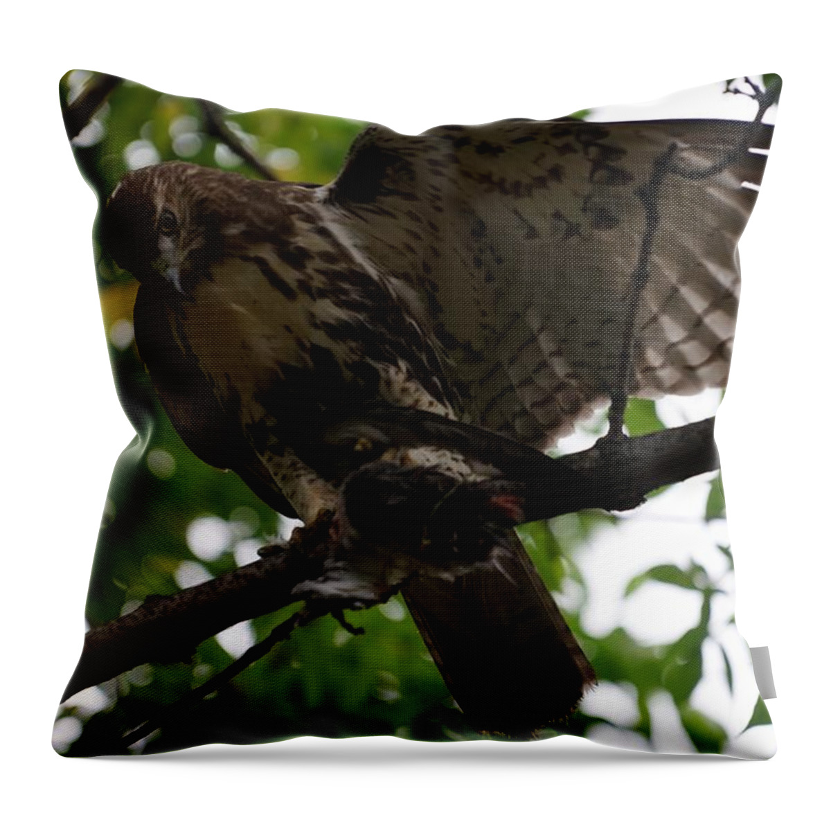  Throw Pillow featuring the photograph Hawks Ballanced Diet by Brooke Bowdren