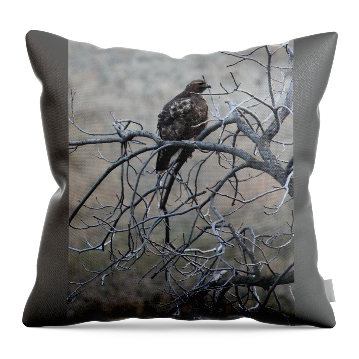 Landscape Throw Pillow featuring the photograph Hawks Perch 1 by Linda Meyer