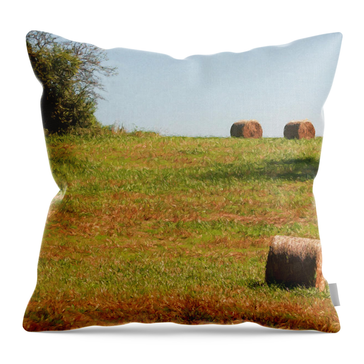 Hay Bales; Hay; Country; Lakemont; Georgia; Digital Art; Farm Throw Pillow featuring the photograph Hay Bales by Mick Burkey