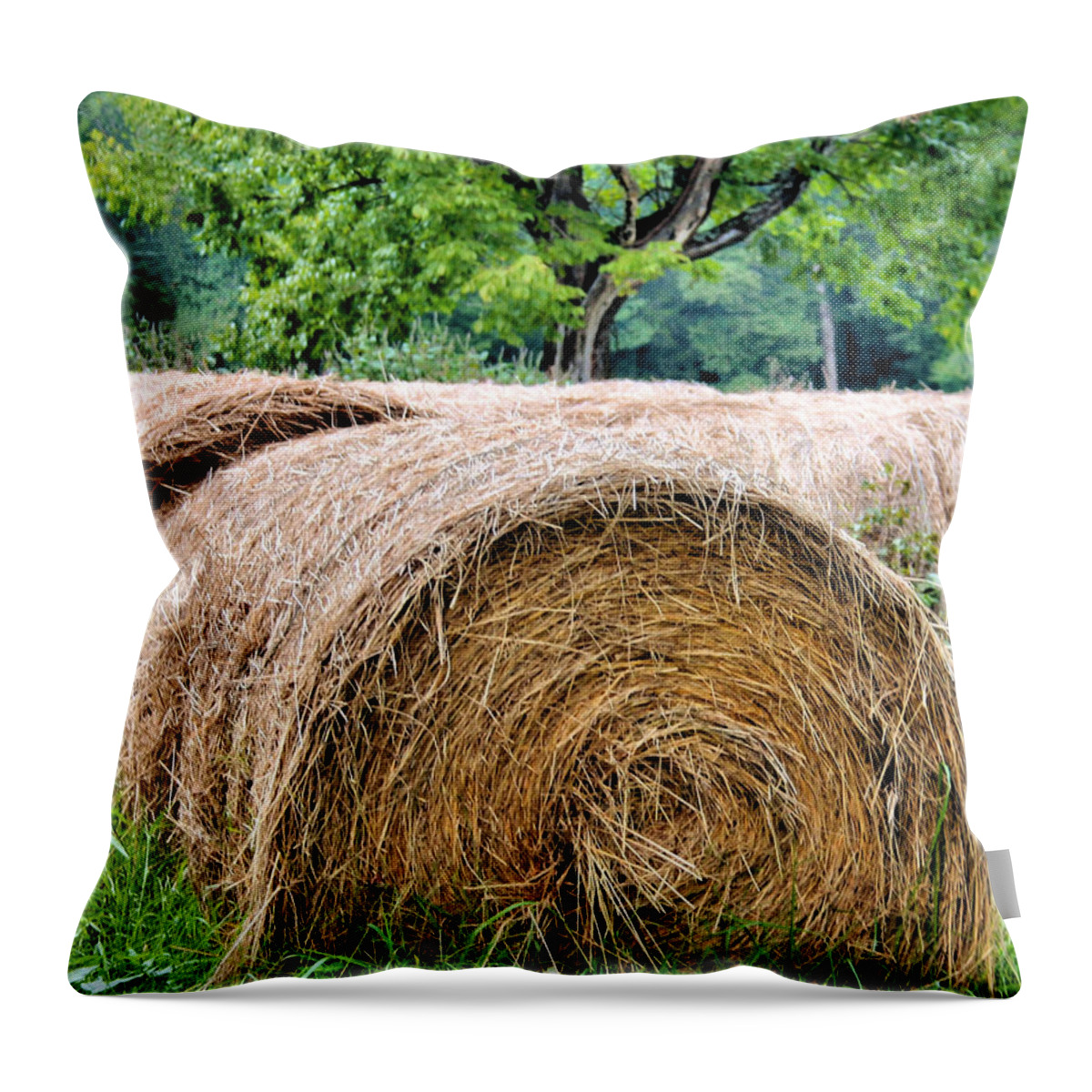 Hay Throw Pillow featuring the photograph Hay Rolls by Kristin Elmquist