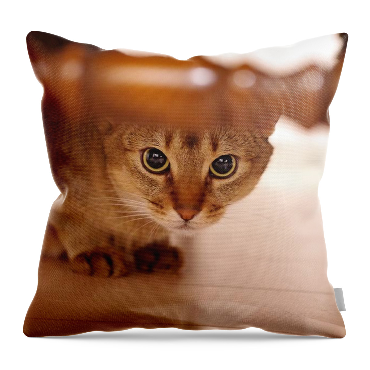Cat Throw Pillow featuring the photograph He is watching me. by Oro Oro