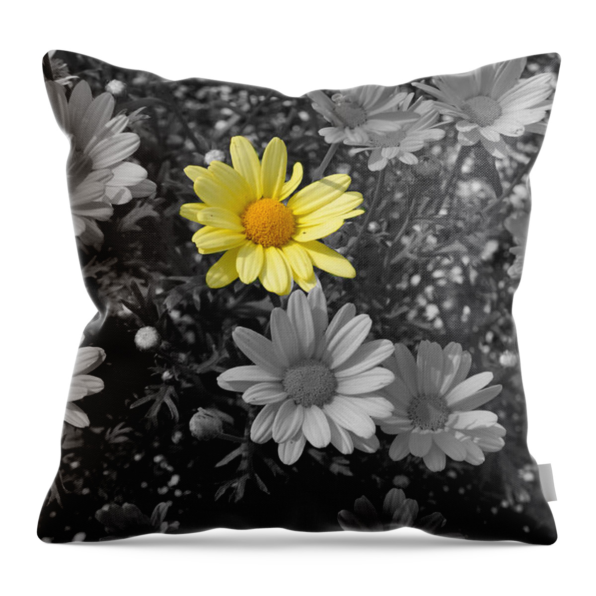 Diane Berry Throw Pillow featuring the photograph He Loves Me by Diane E Berry