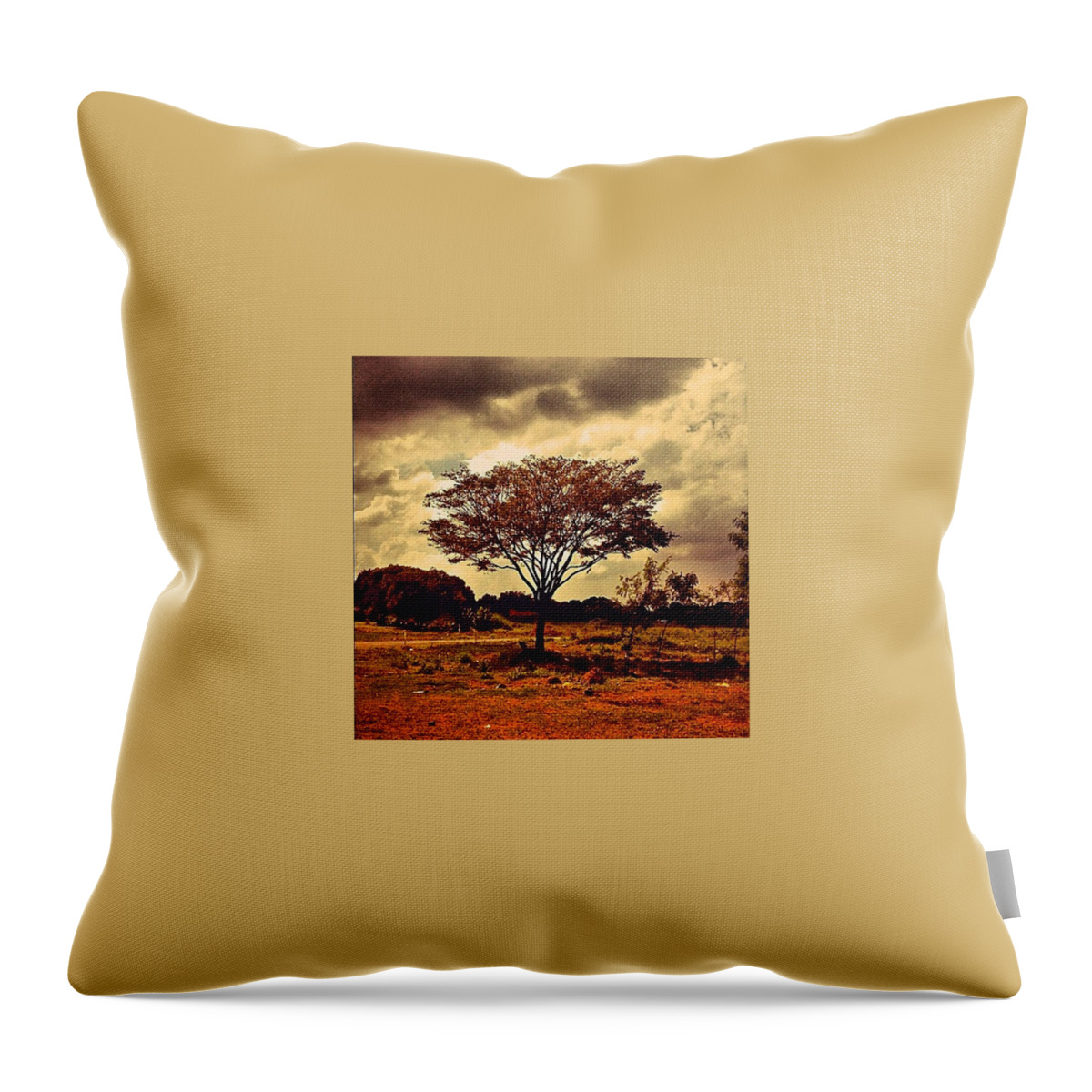 Vintage Throw Pillow featuring the photograph He Who Plants A Tree, Plants A Hope by Teffie Dela Cruz
