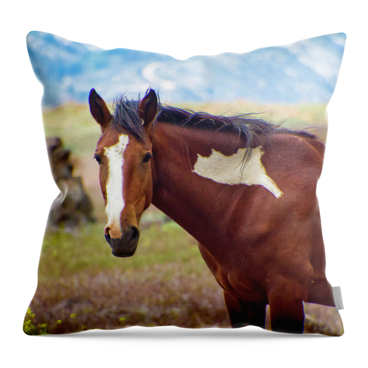 Horses Throw Pillow featuring the photograph Head shot of a wild Paint Horse by Waterdancer