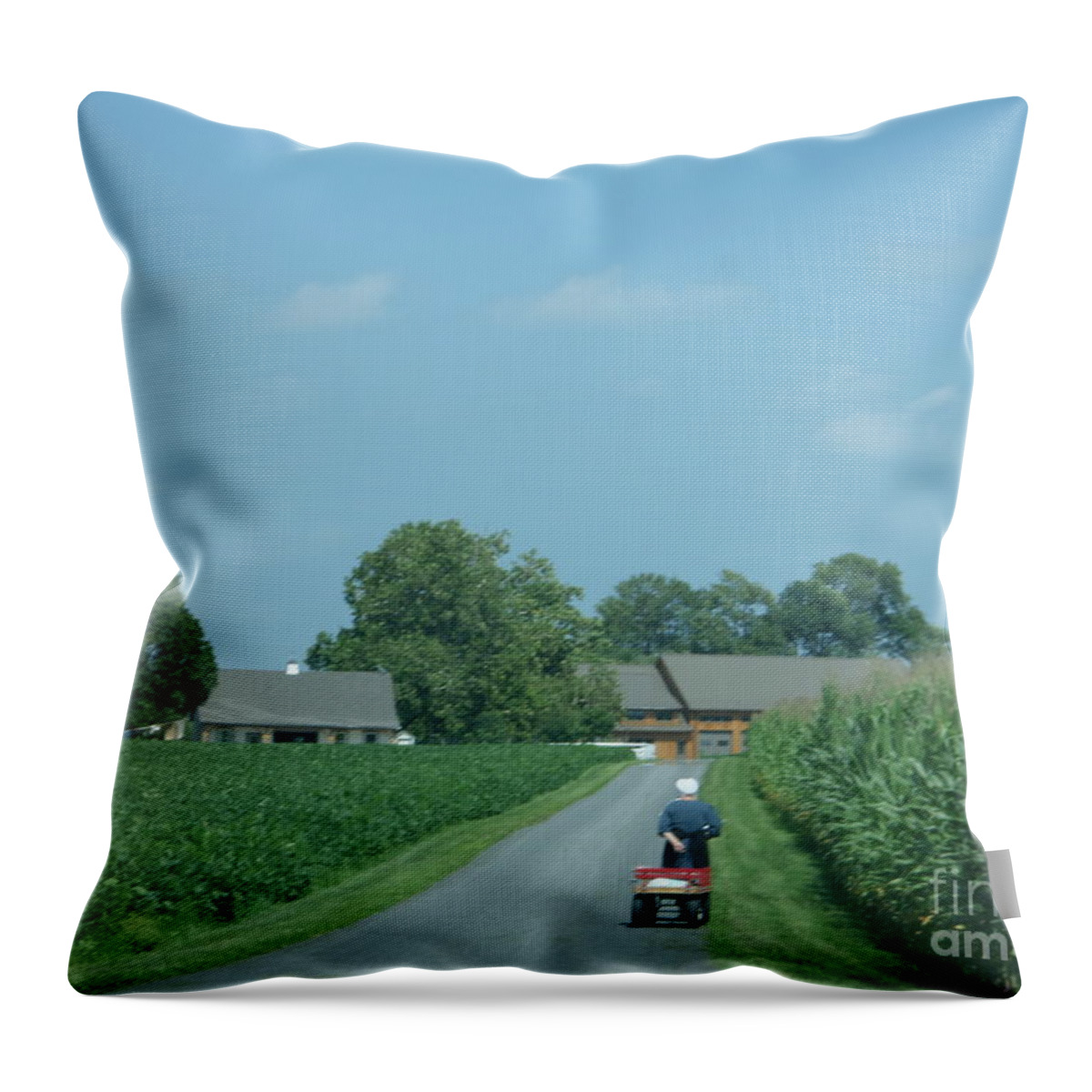 Amish Throw Pillow featuring the photograph Heading Home from the Market by Christine Clark
