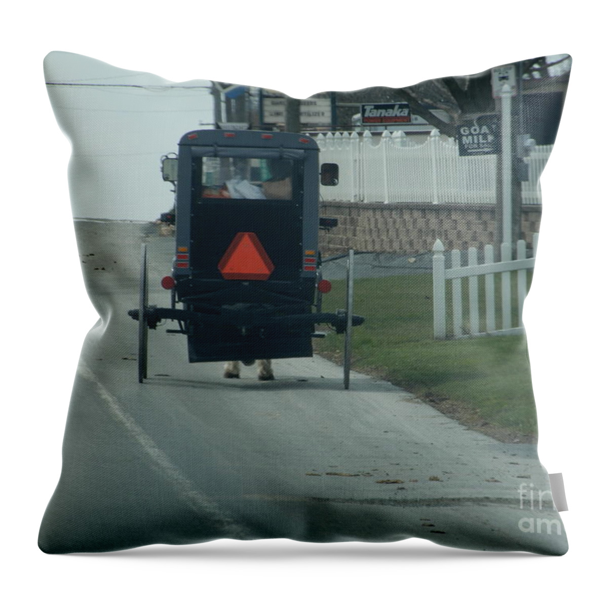 Amish Throw Pillow featuring the photograph Heading Home from the Store by Christine Clark