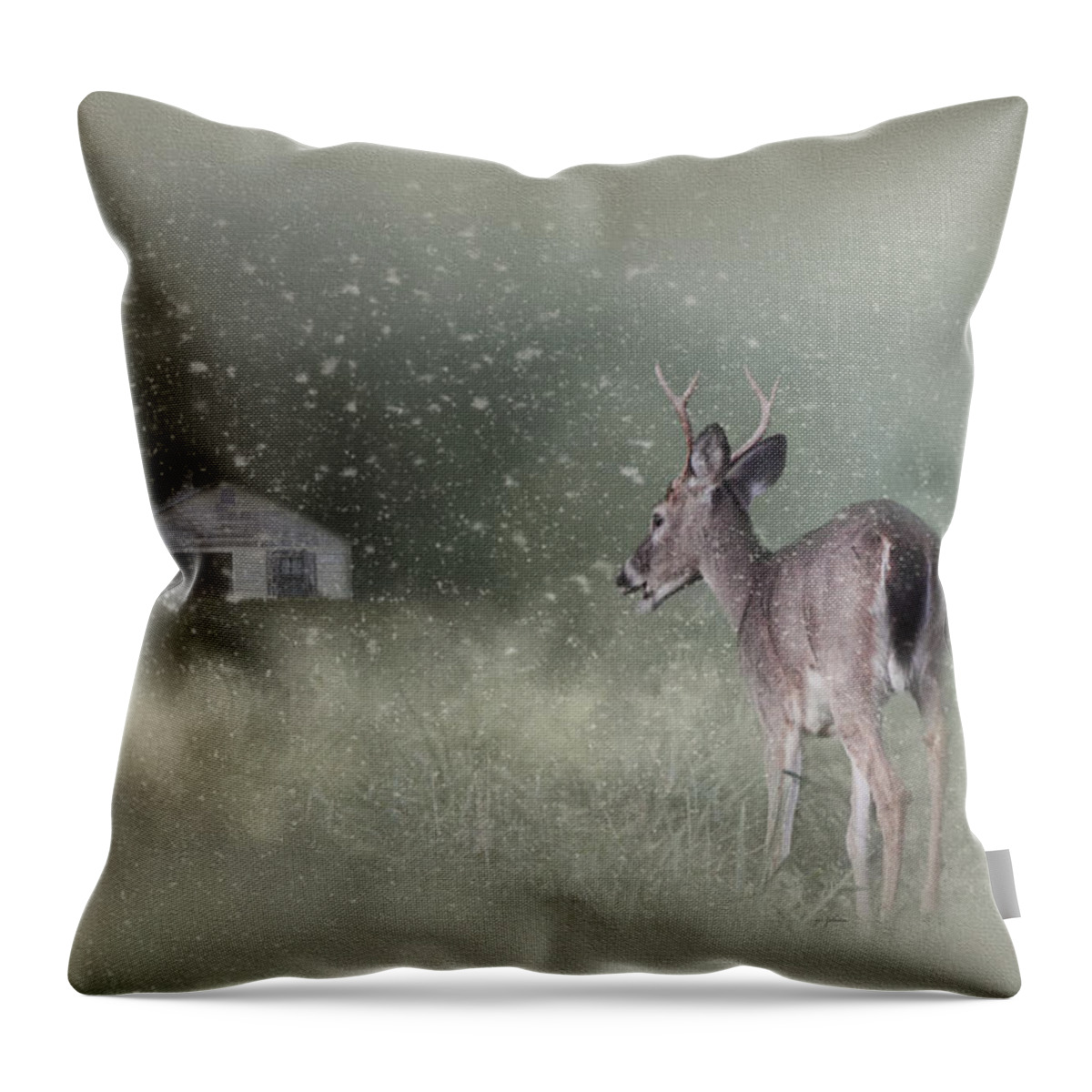 Jai Johnson Throw Pillow featuring the photograph Heading Home In The First Snow - with Canvas Vignette by Jai Johnson