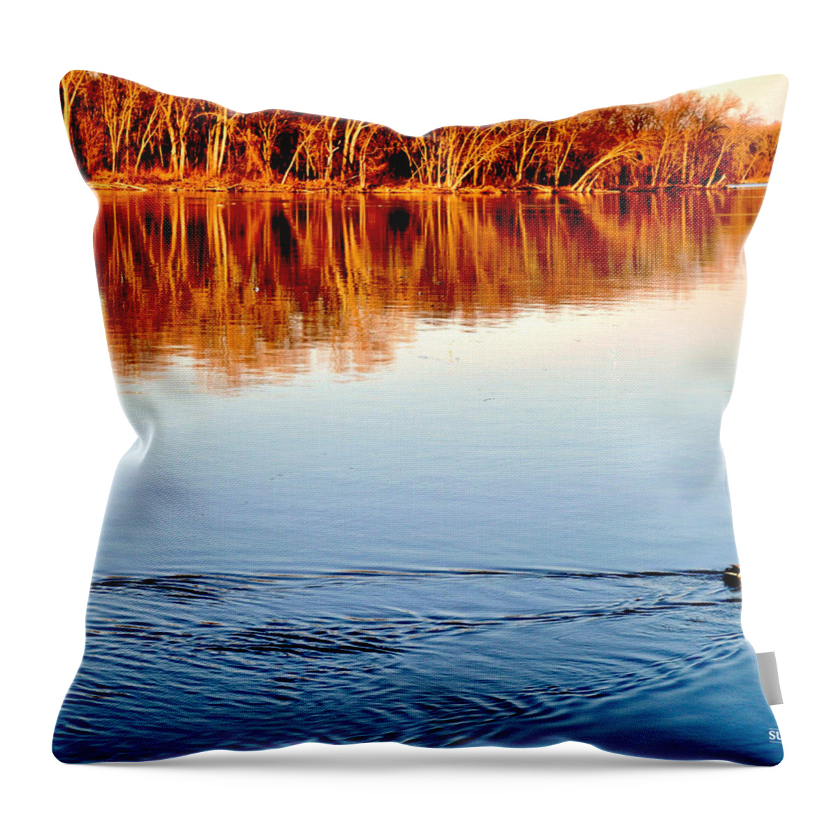 Ducks Throw Pillow featuring the photograph Heading Home by Susie Loechler