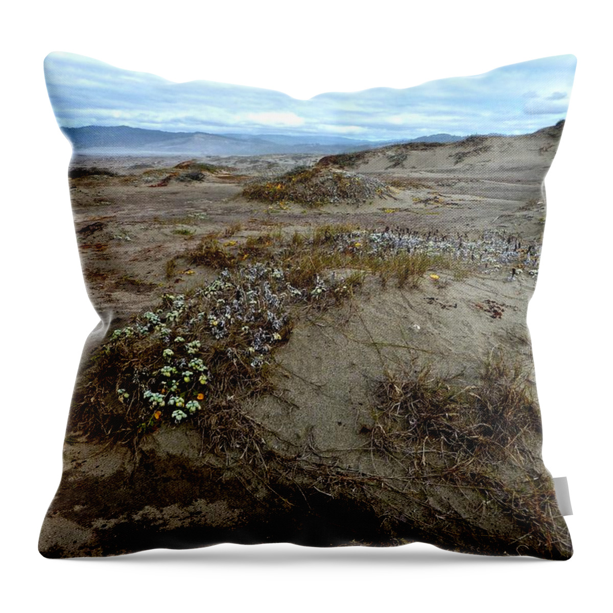 Mackerricher State Beach Throw Pillow featuring the photograph Headlands MacKerricher State Beach by Amelia Racca