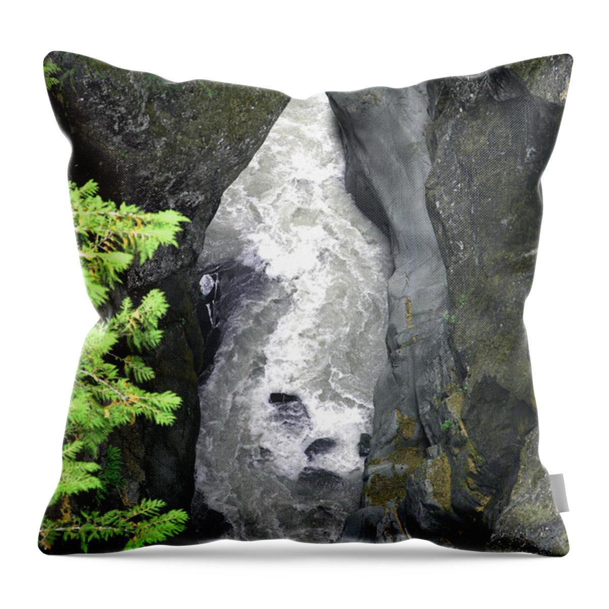 Cowlitz Throw Pillow featuring the photograph Headwaters of the Cowlitz River by Rich Collins