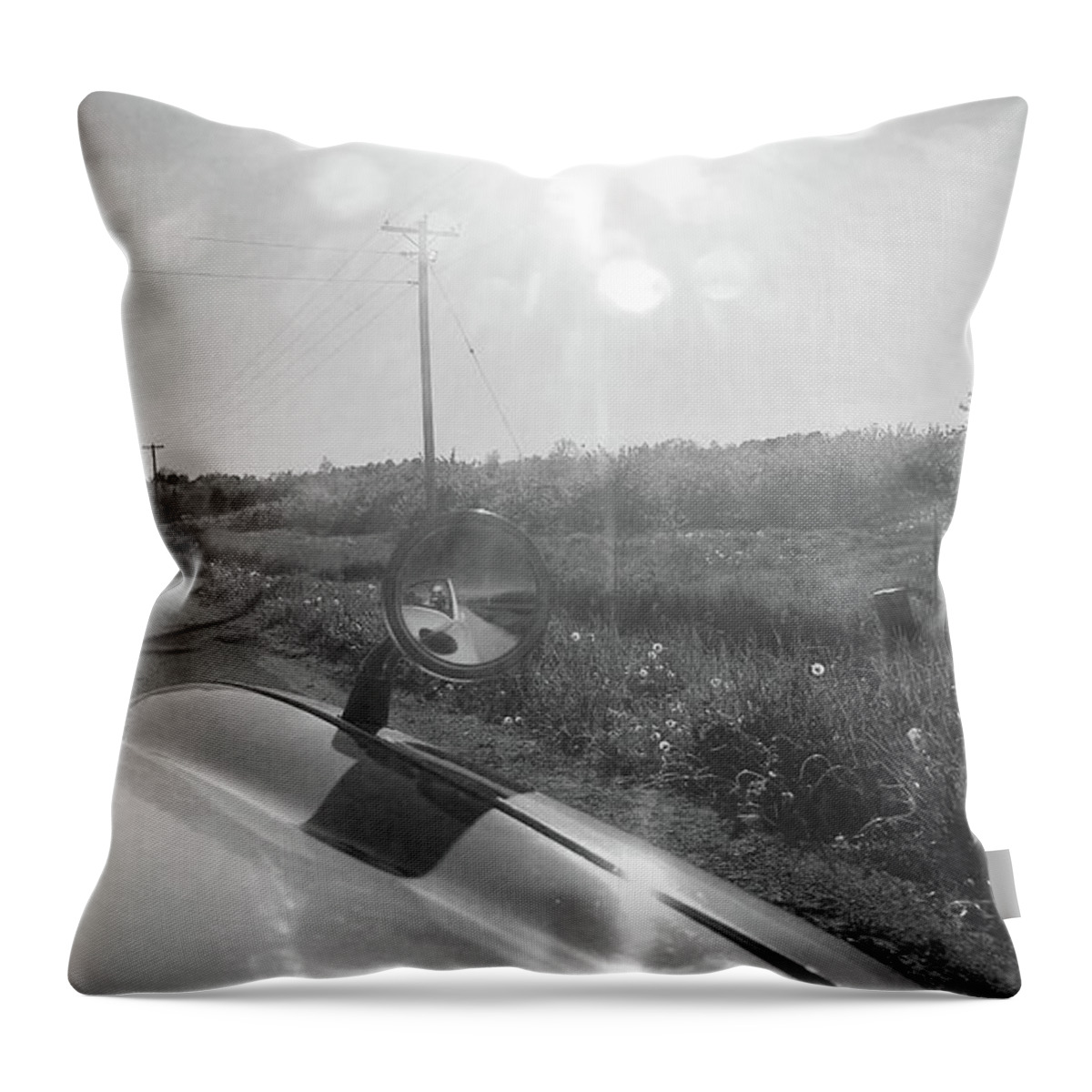 Healey Throw Pillow featuring the photograph Healey and the Open Road by Mark Alan Perry