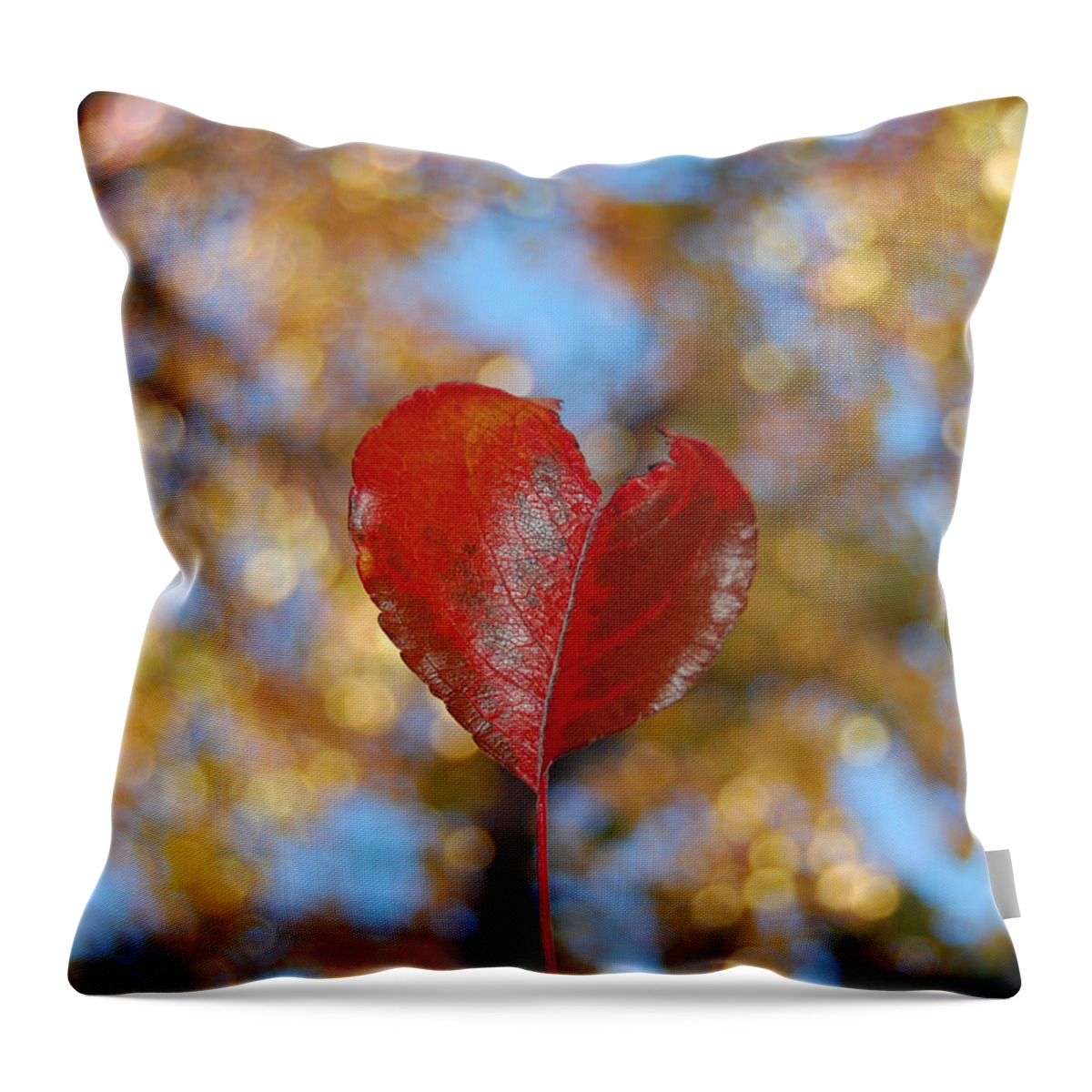 Heart Throw Pillow featuring the photograph Heart Amongst Tree Top by Debra Thompson