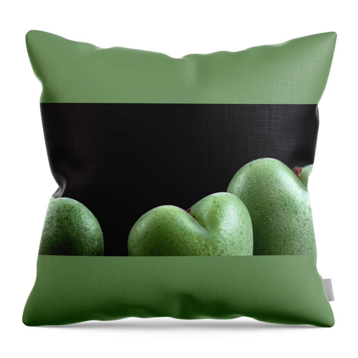 Plant Throw Pillow featuring the photograph Heart Shaped Lithops by Catherine Lau