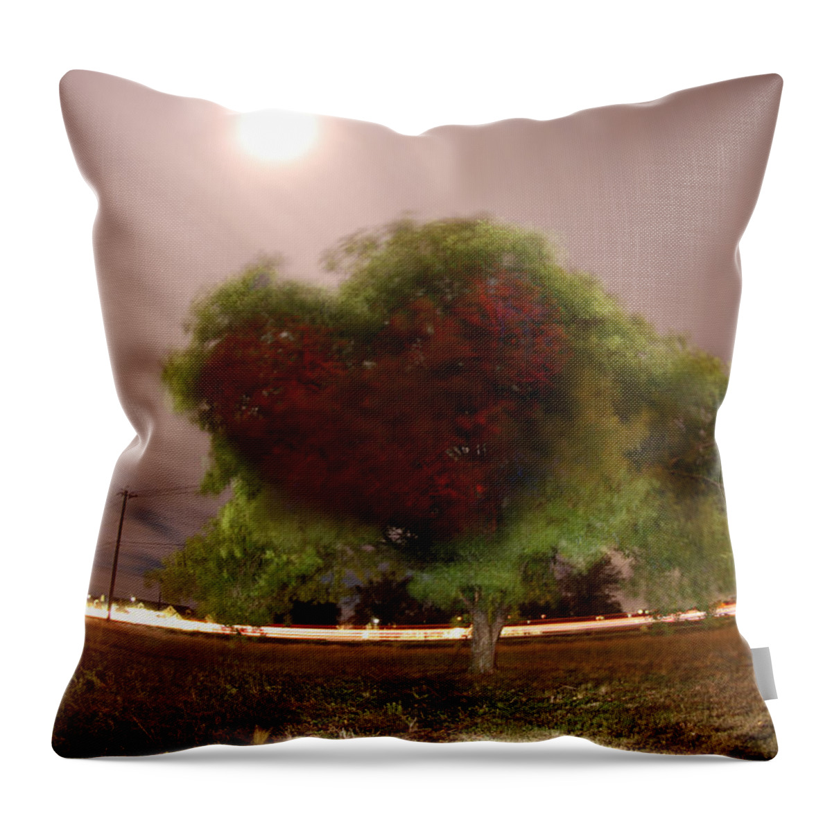 Landscape Throw Pillow featuring the photograph Heart tree Scene by Andrew Nourse