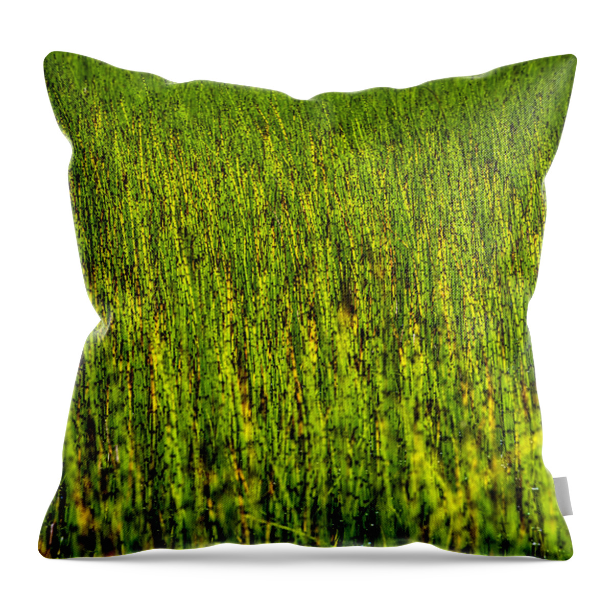 Blade Throw Pillow featuring the photograph Heather Lake Grass 2 by Pelo Blanco Photo