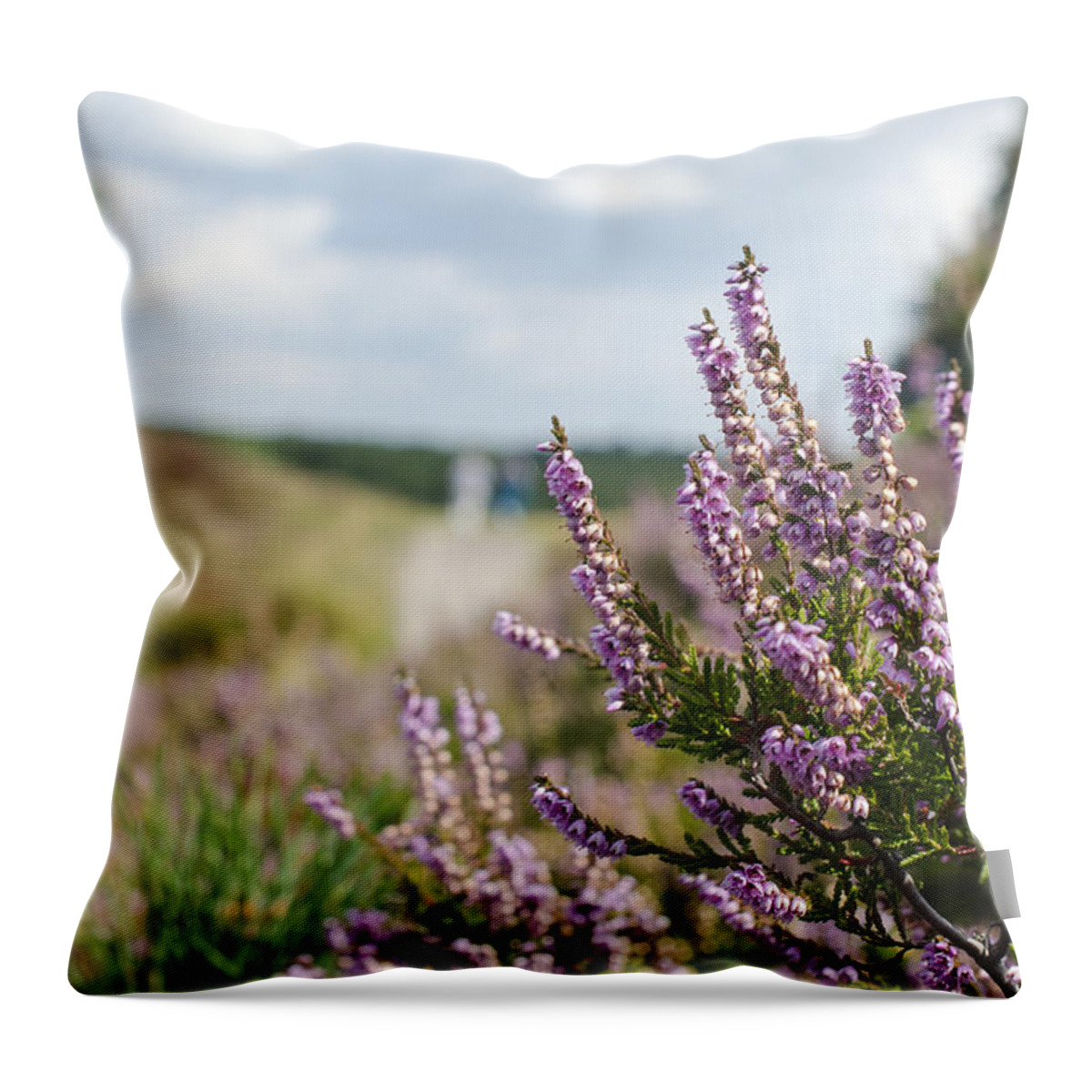 Pink Throw Pillow featuring the photograph Heather by Rainer Kersten